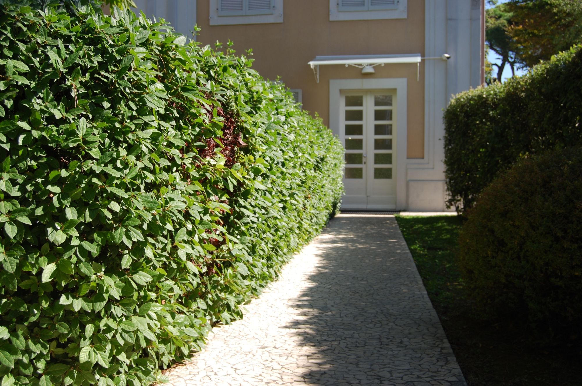 Фото Ceccarini Suite