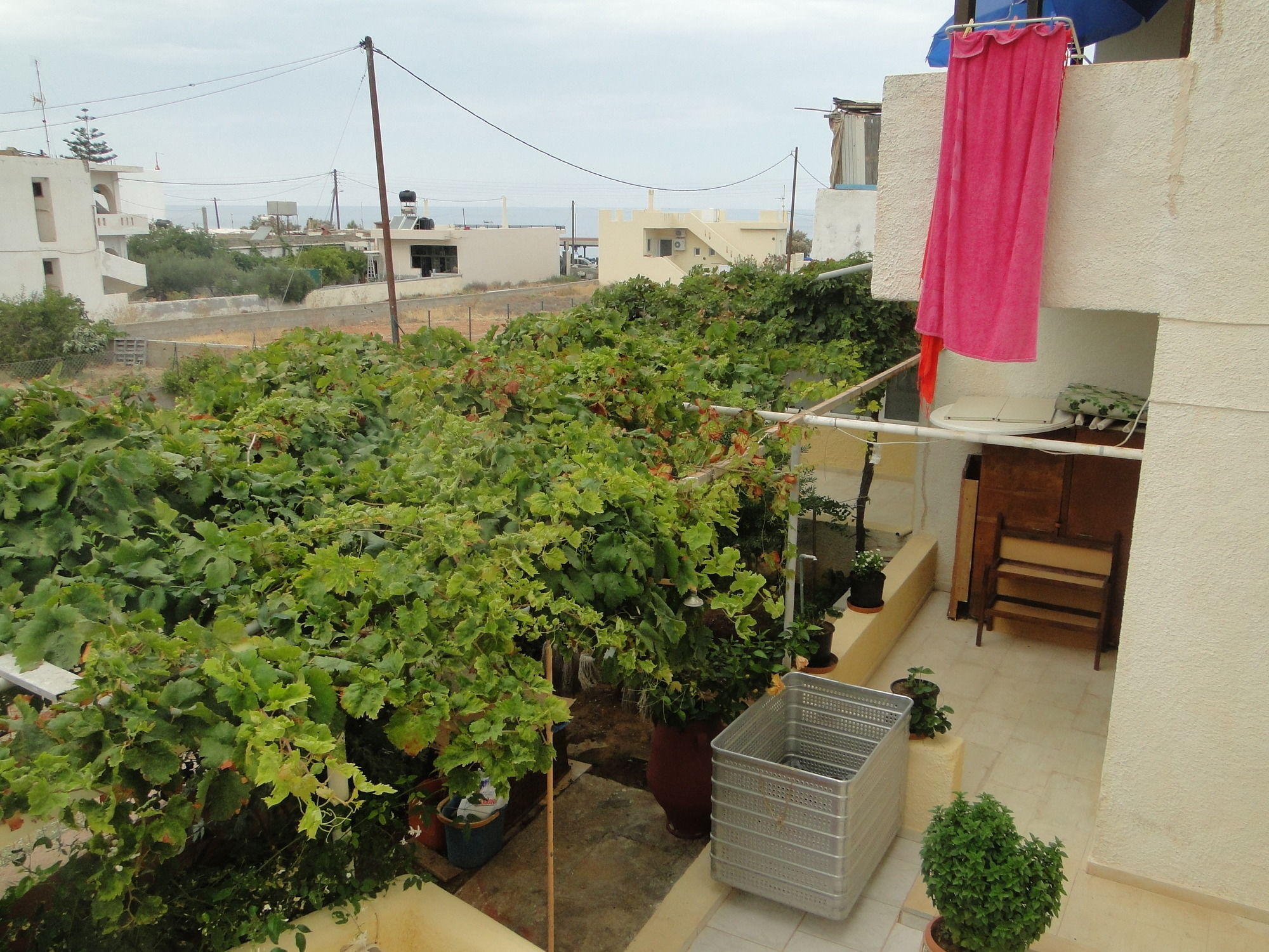 Фото Paradise Inn