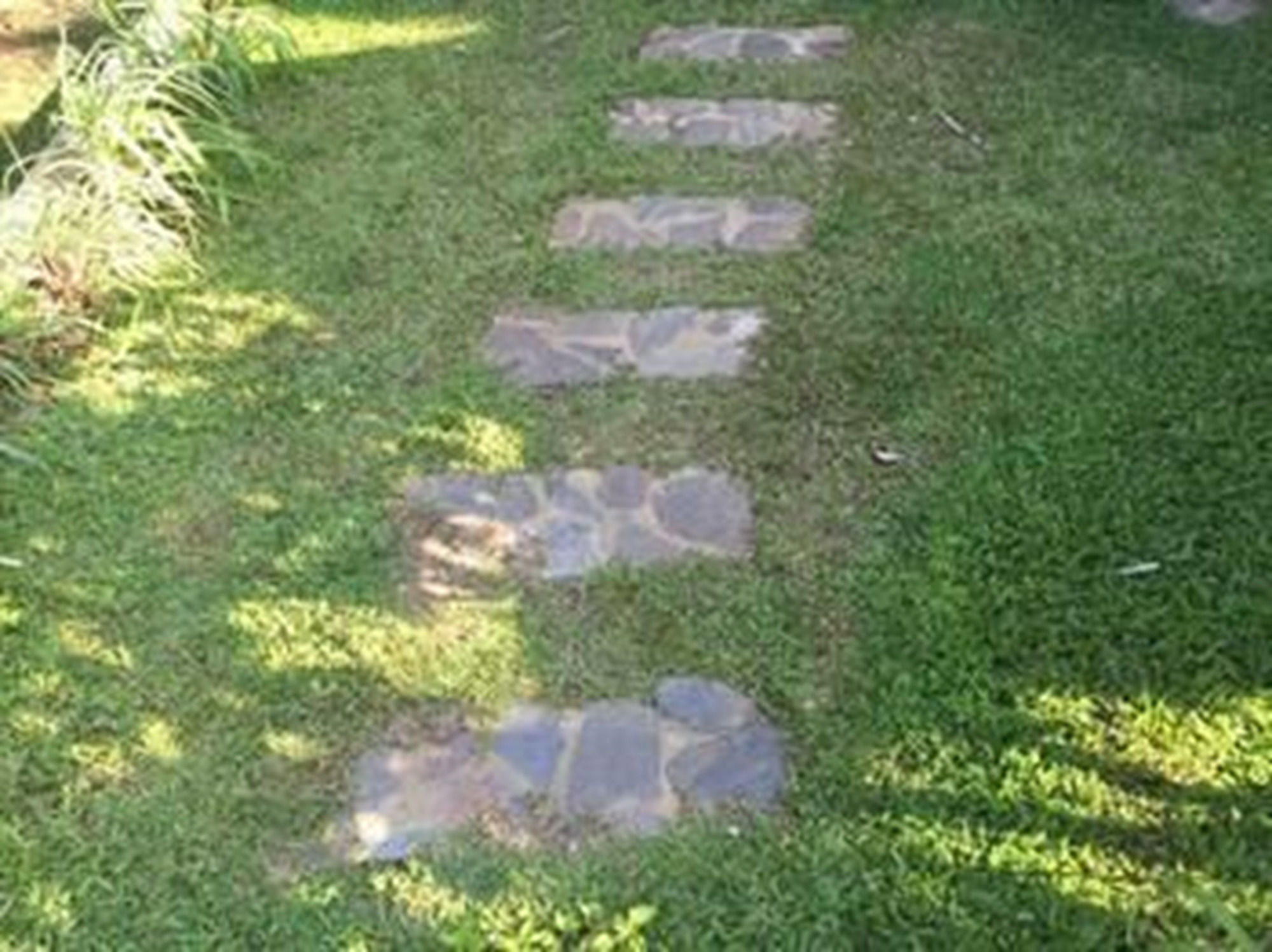 Фото Water Palm Villas