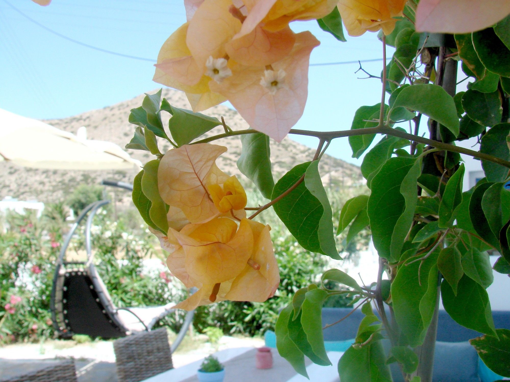 Фото Evi Evan Hotel