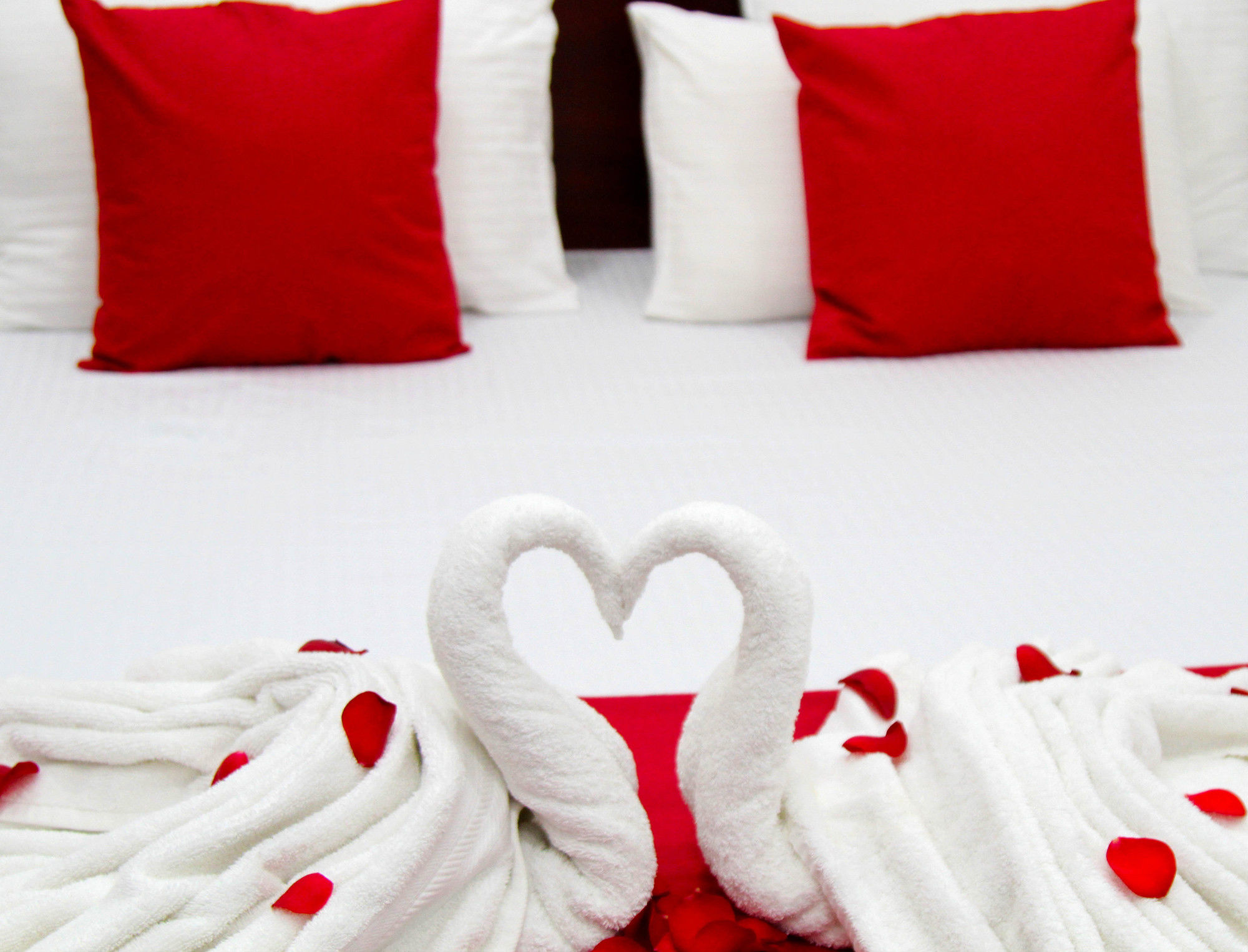 Фото Colombo Residency