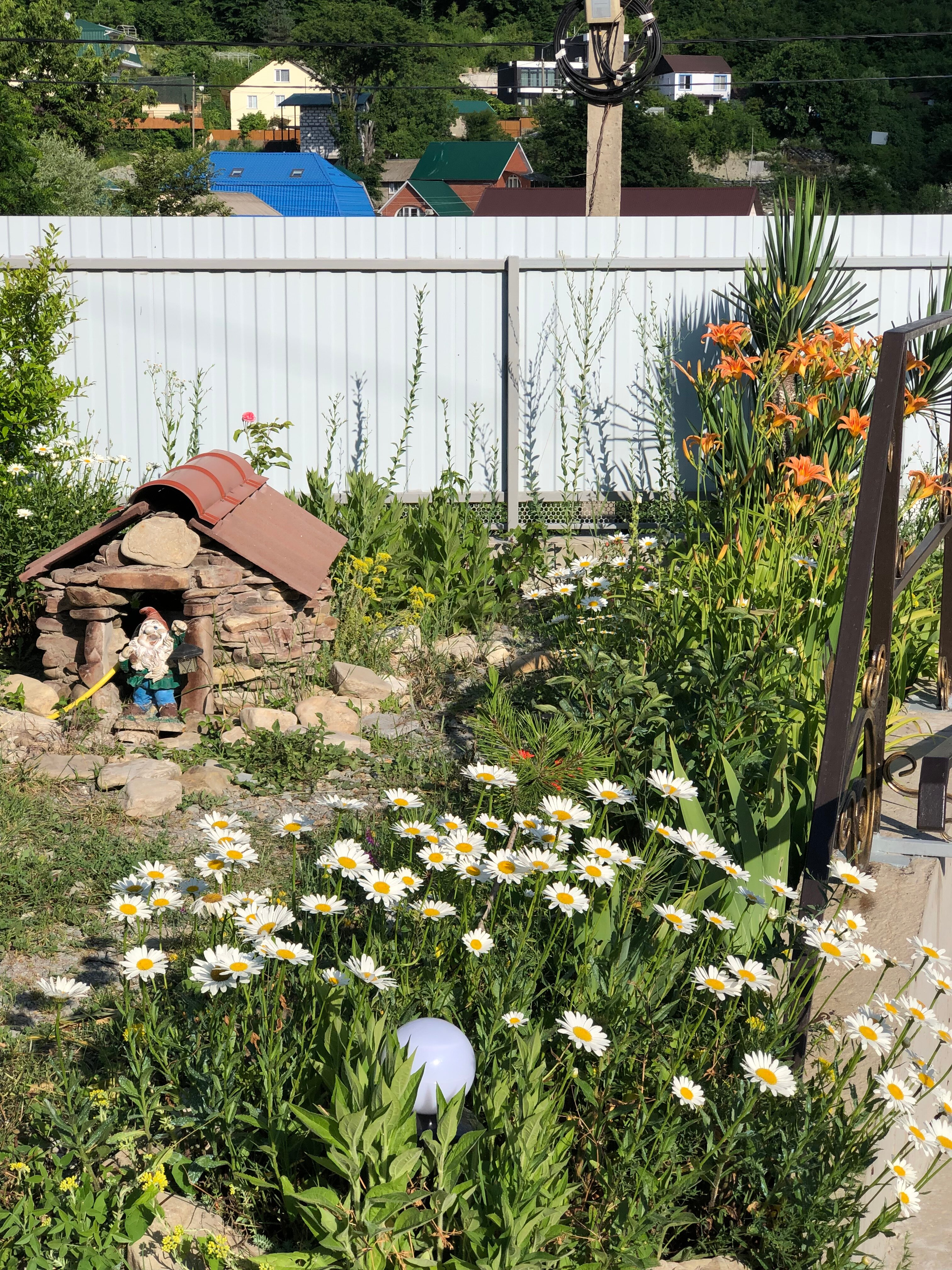 Фото Приморский