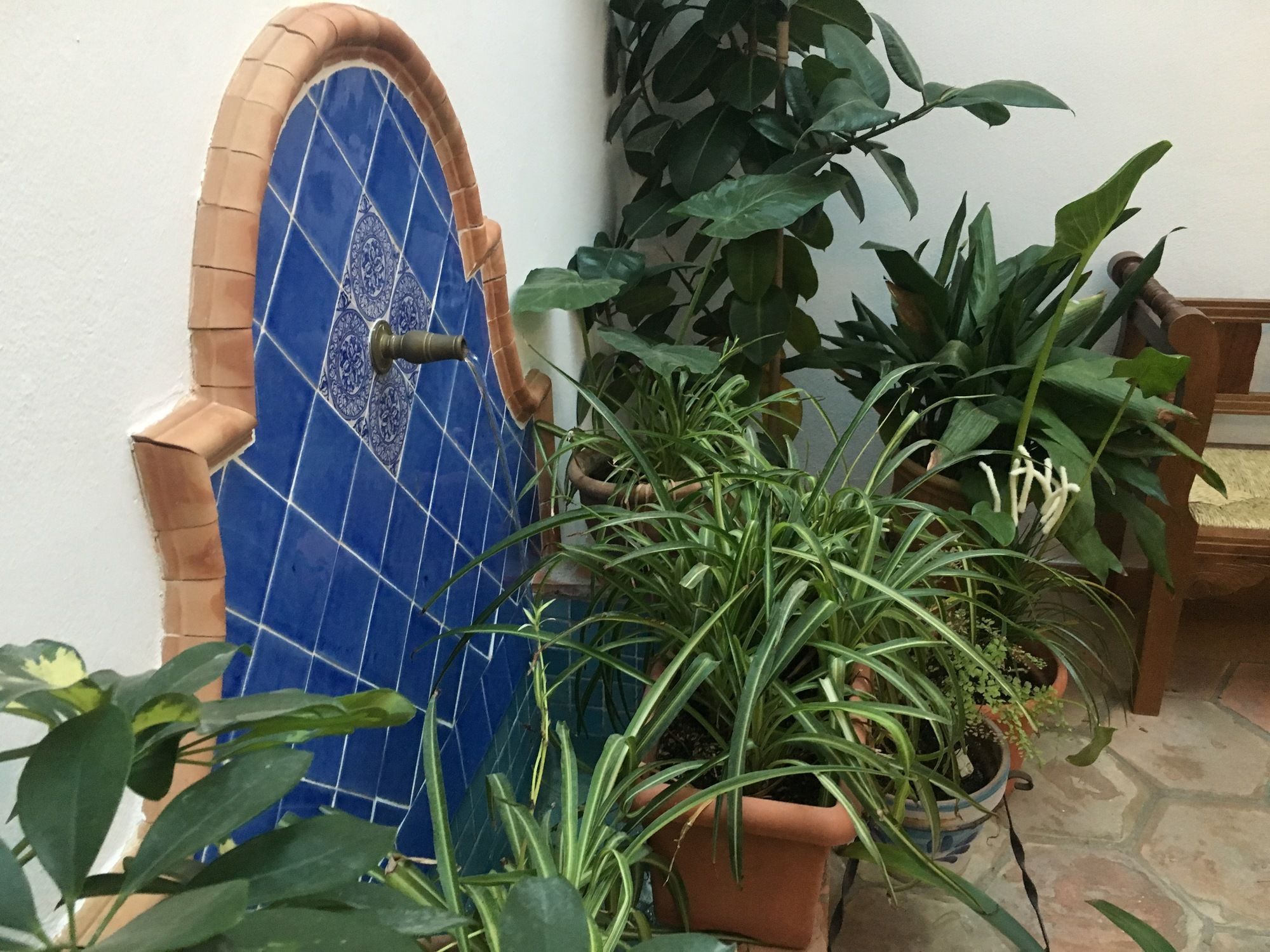 Фото La Casa Del Rio