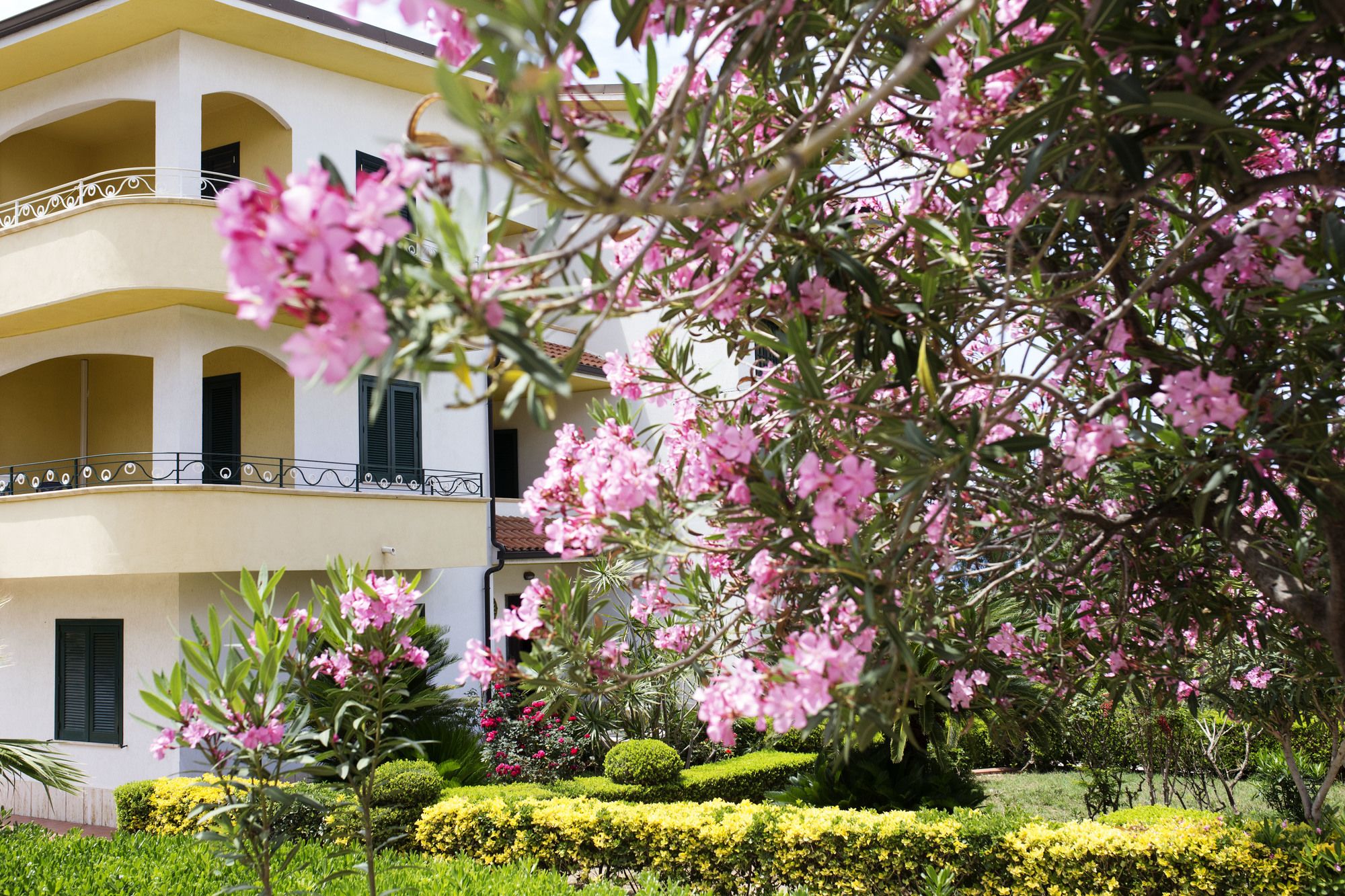 Фото B&b Il Cavaliere