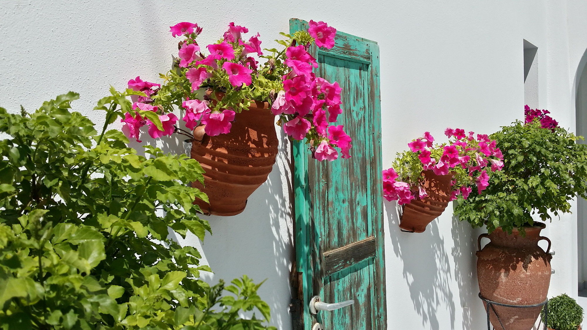 Фото Villa Anna Maria