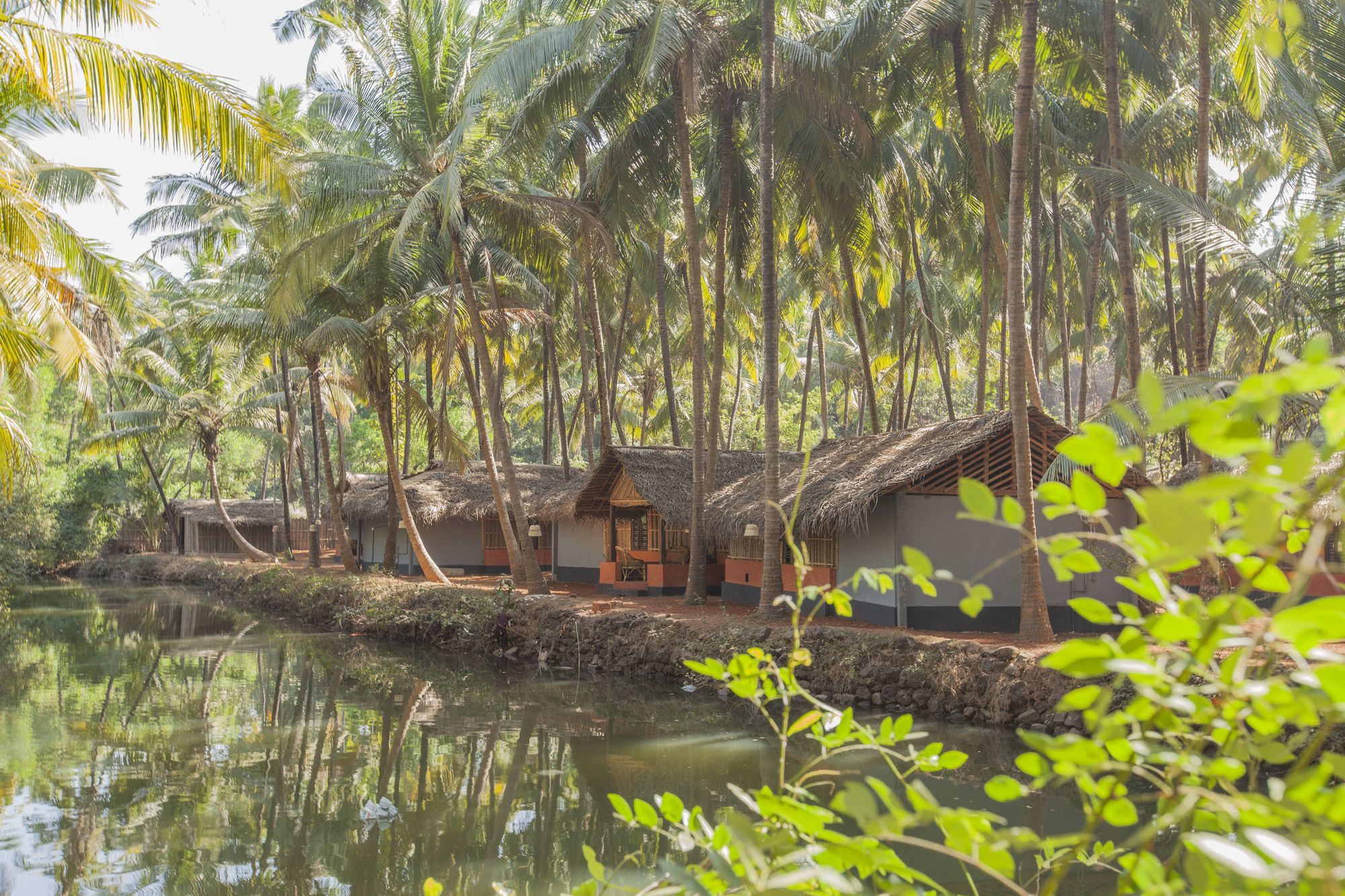 Фото Palm Trees Ayurvedic Heritage
