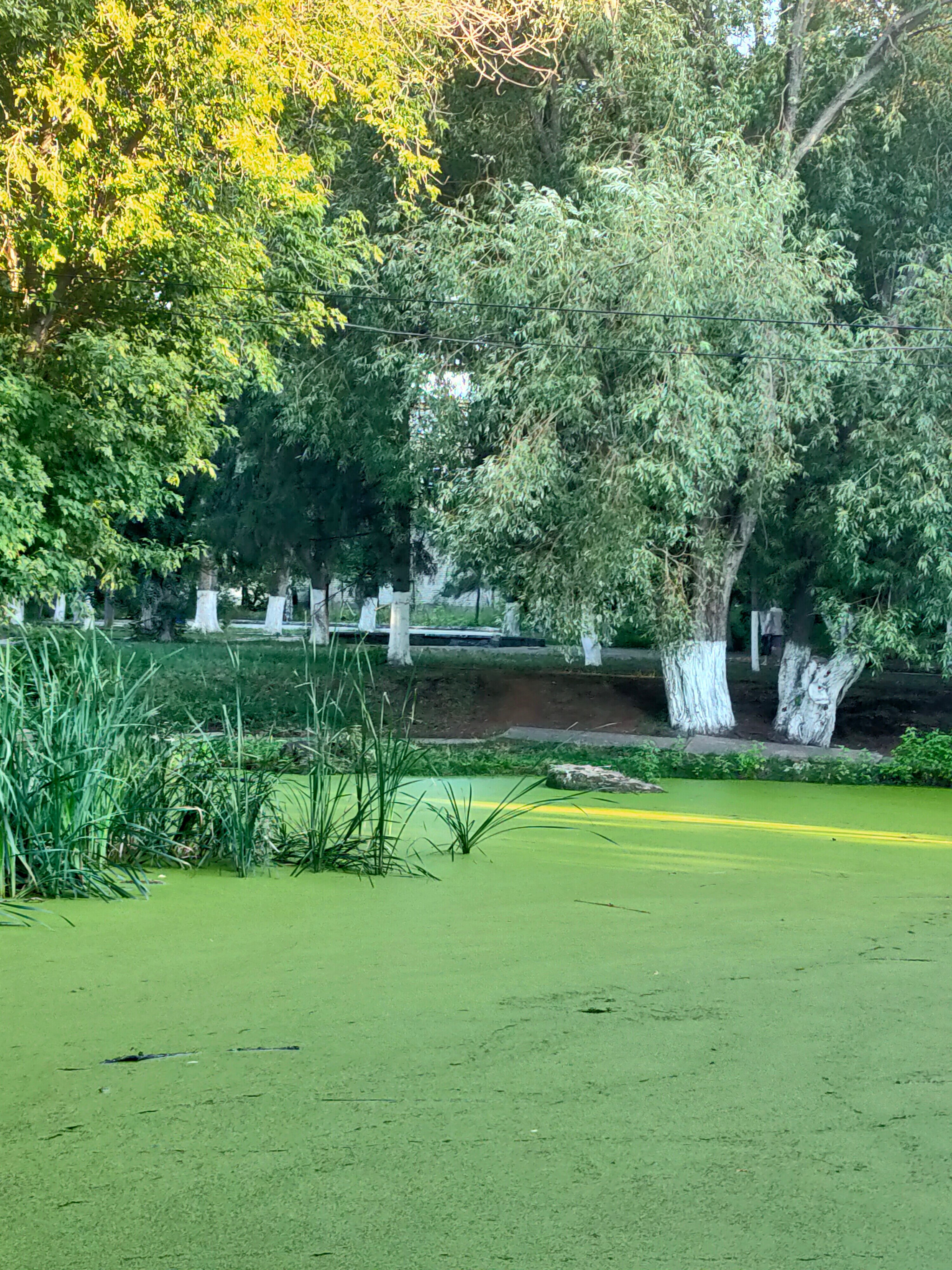 Фото Фрунзенец