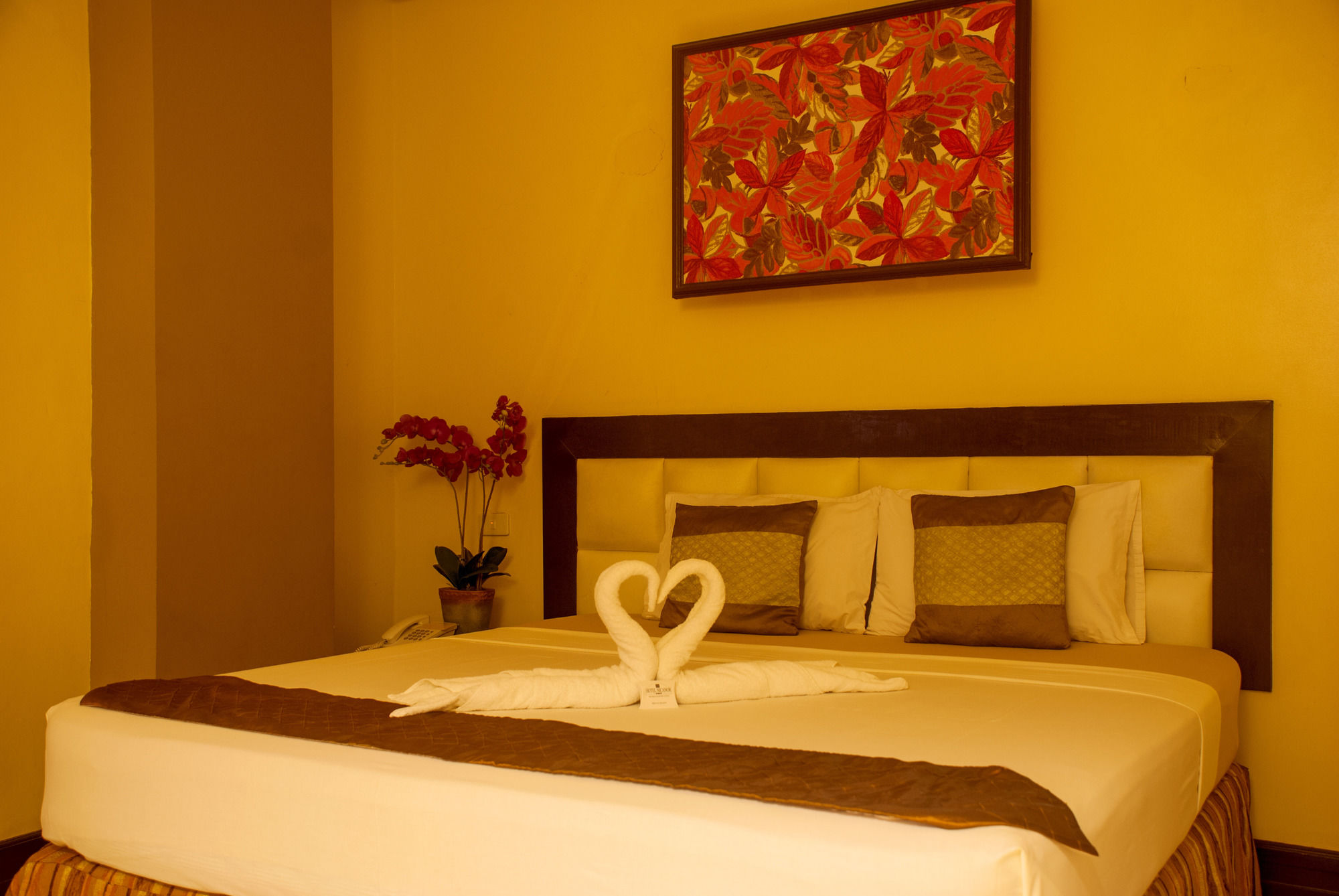 Фото Hotel Nicanor