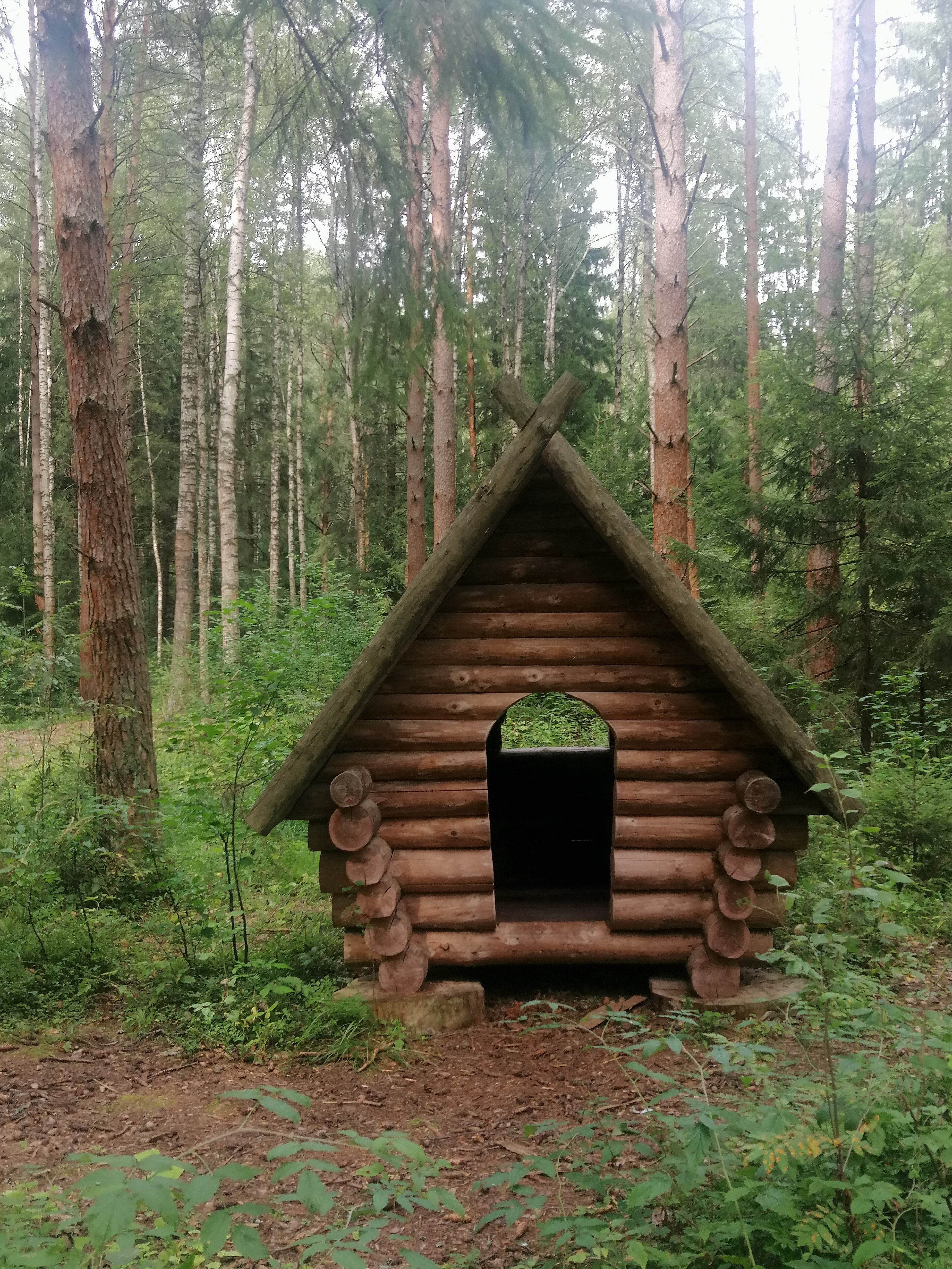 Фото Ямская