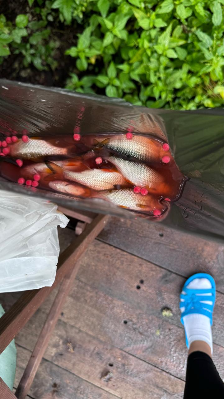 Фото Дом на реке