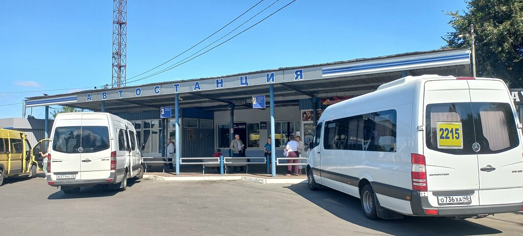 Bus station Bezhitskaya avtostantsiya, Bryansk, photo