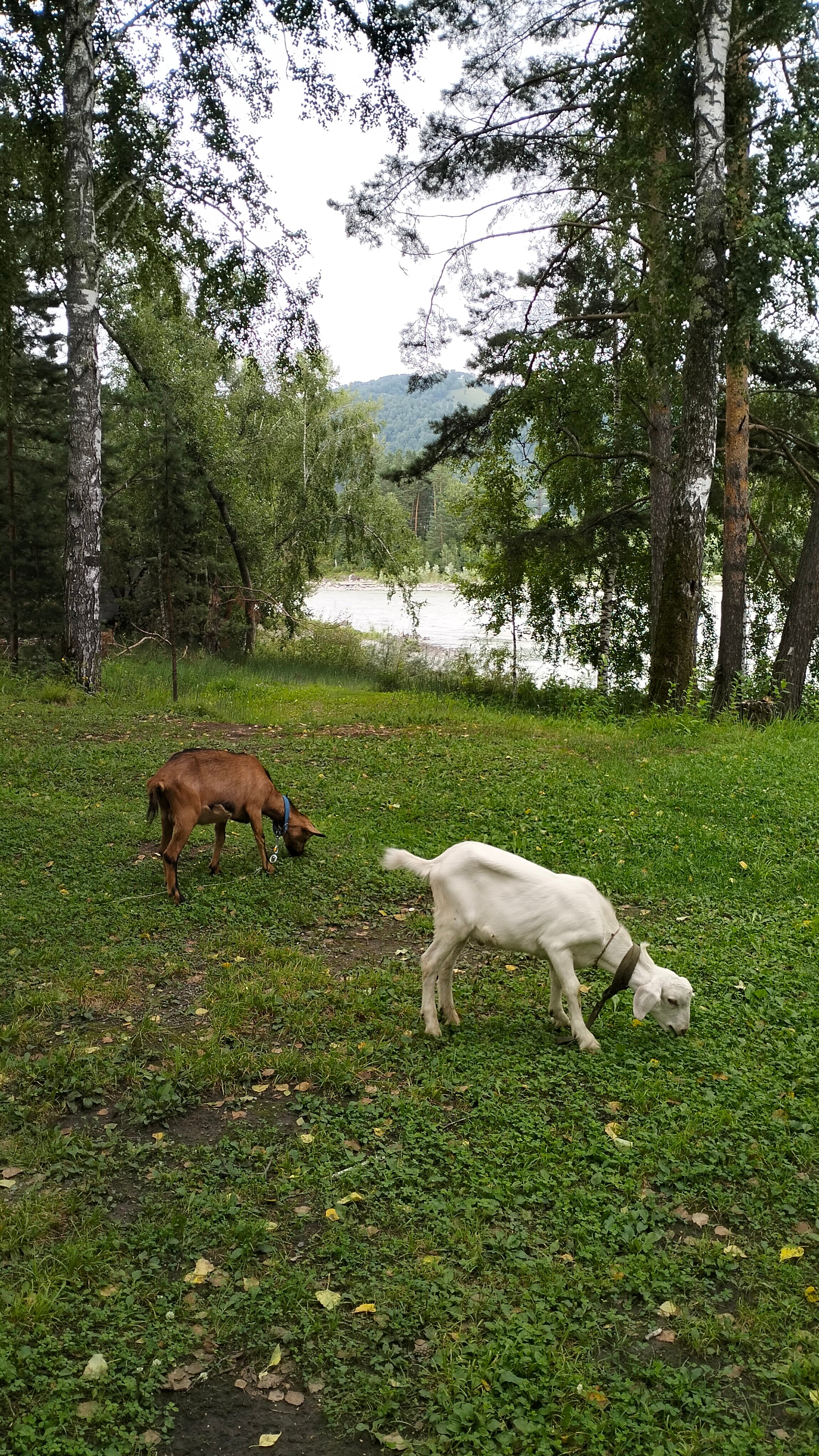 Фото Империя Туризма