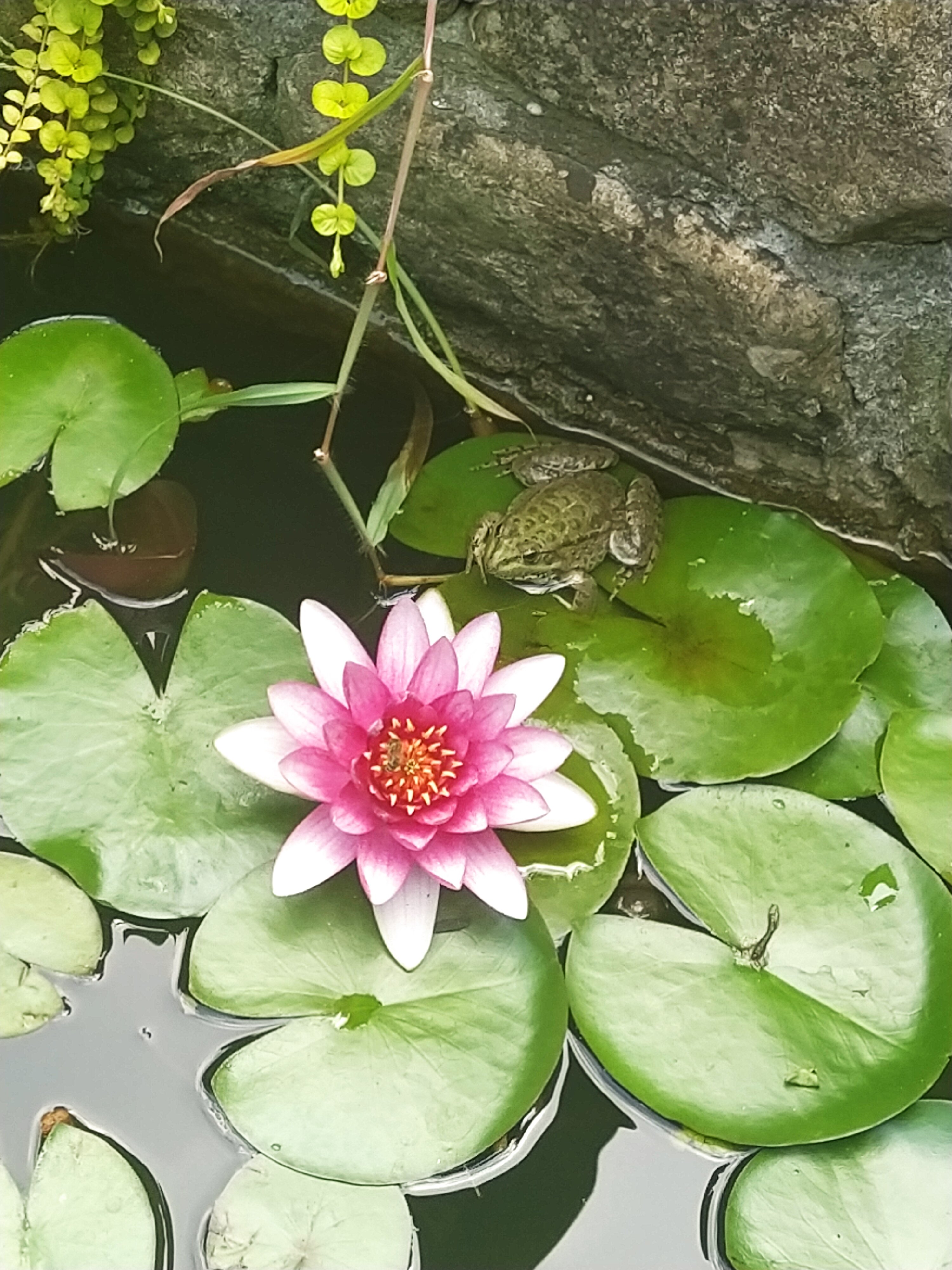 Фото Дом Солнца