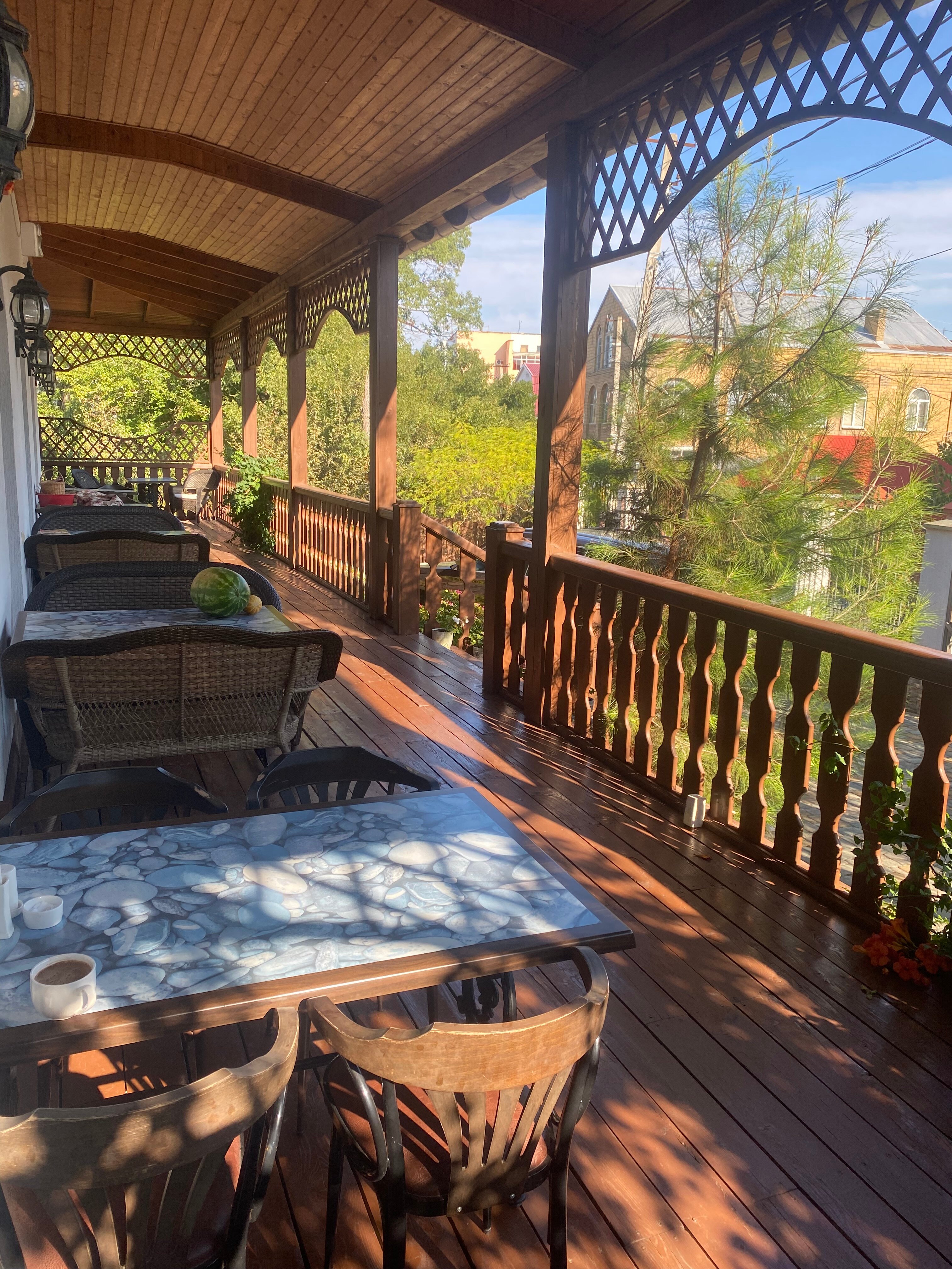 Фото Серый кот