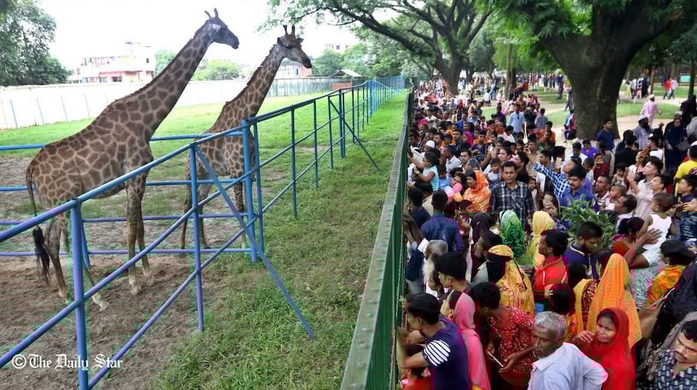 Фото Grand Prince Hotel