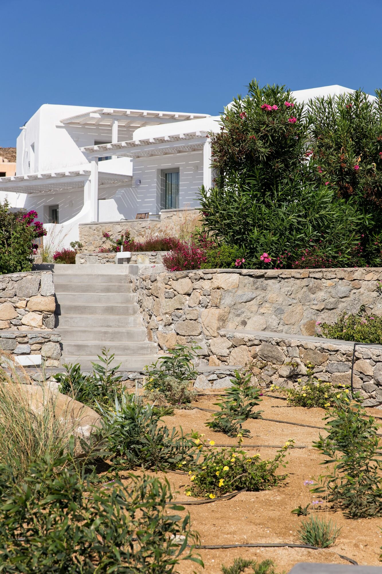 Фото Osom Resort