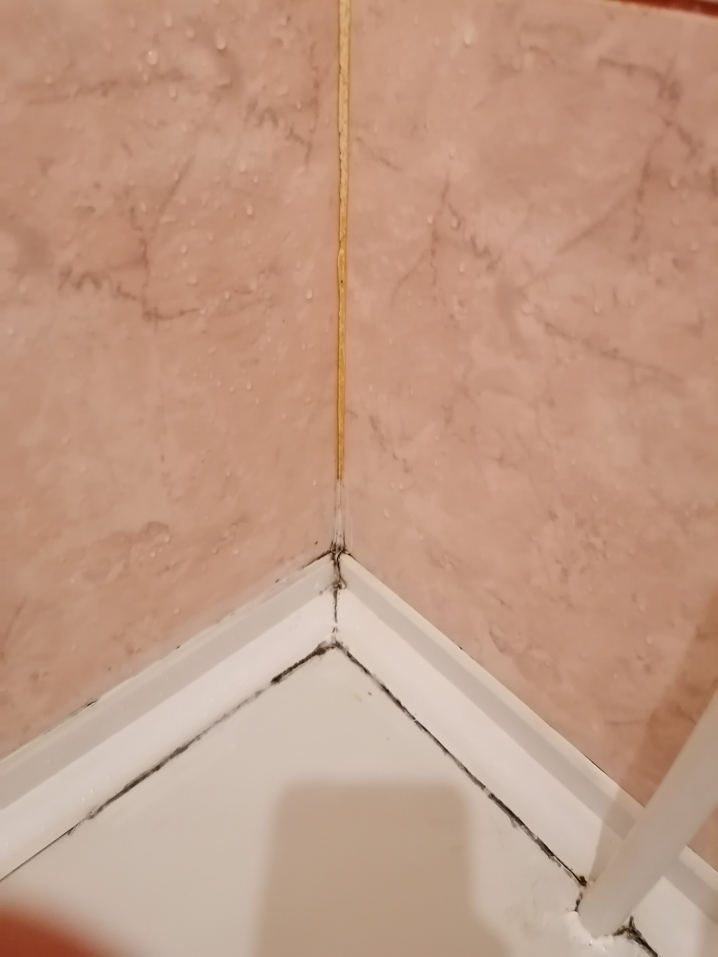 Фото Столичный