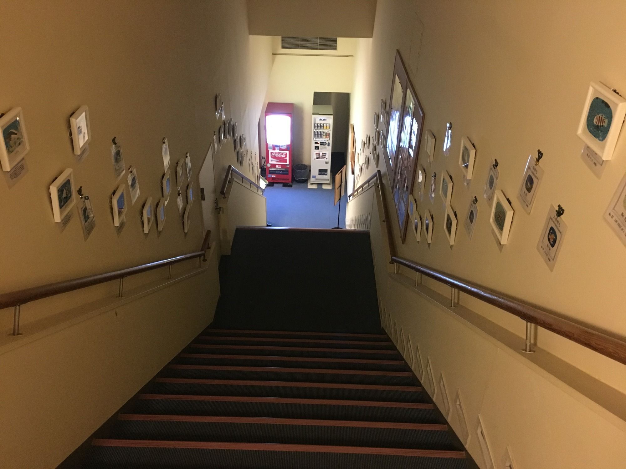 Фото Shimoda Yamatokan