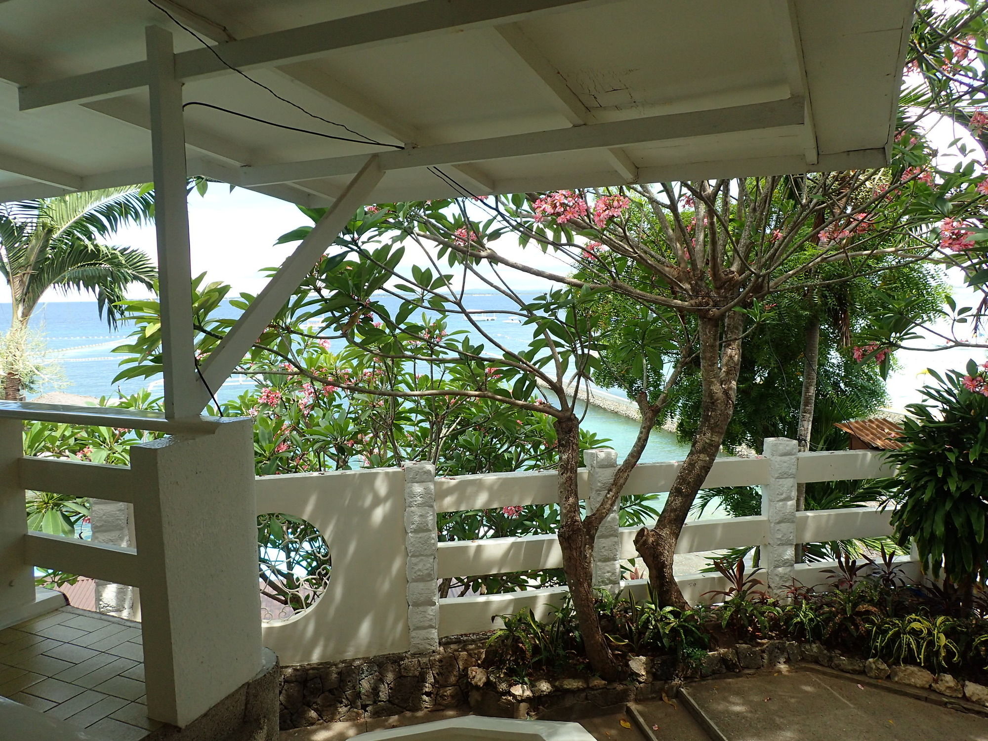 Фото Aozora Seaside Mactan