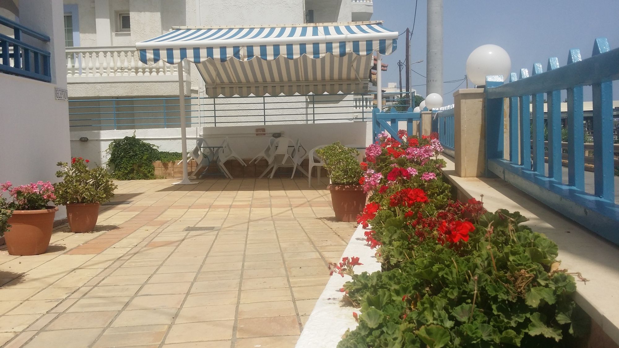 Фото Elalia Apartments