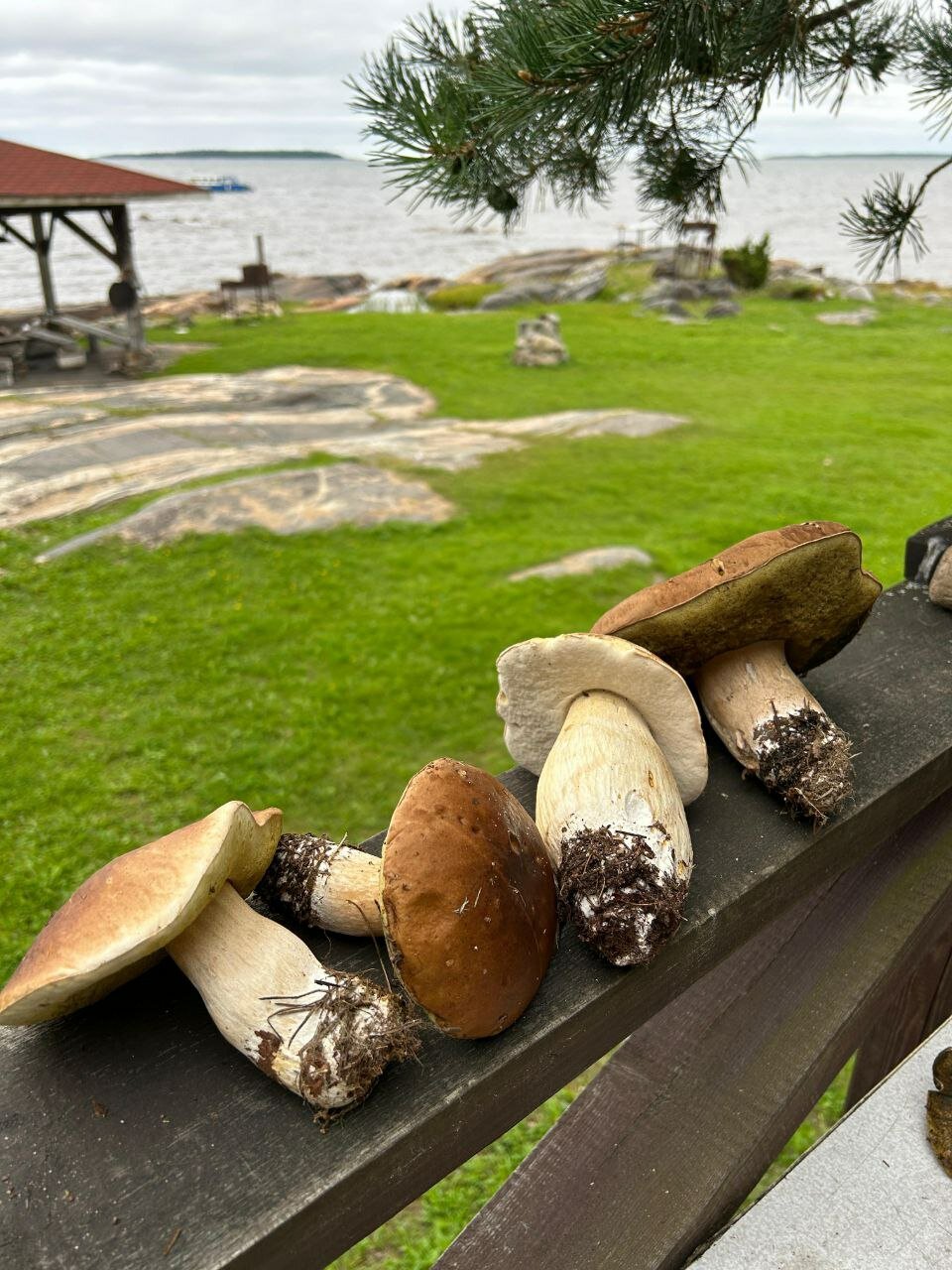 Фото Этнопарк Лопский берег