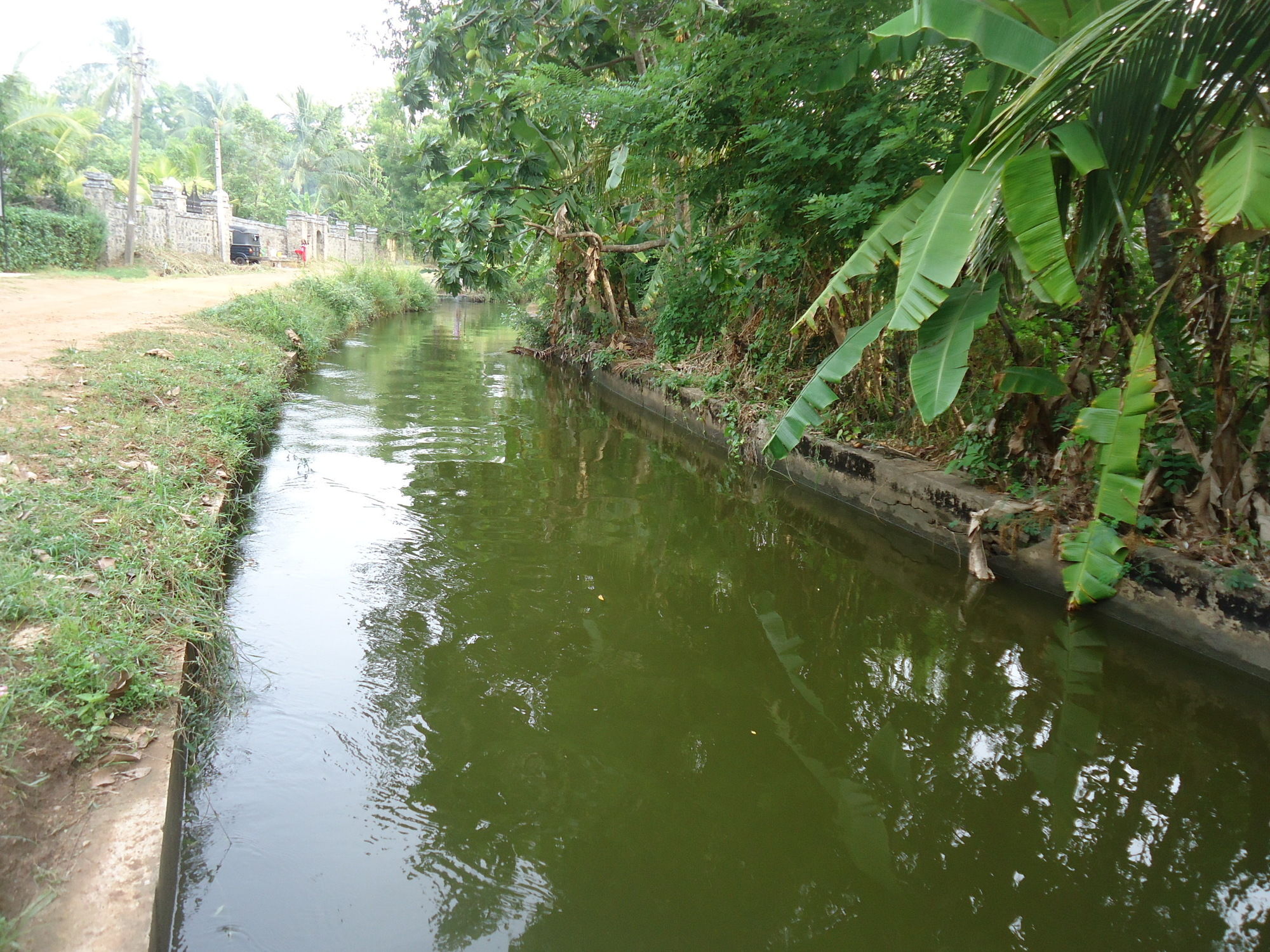 Фото Flower Seven Hotel