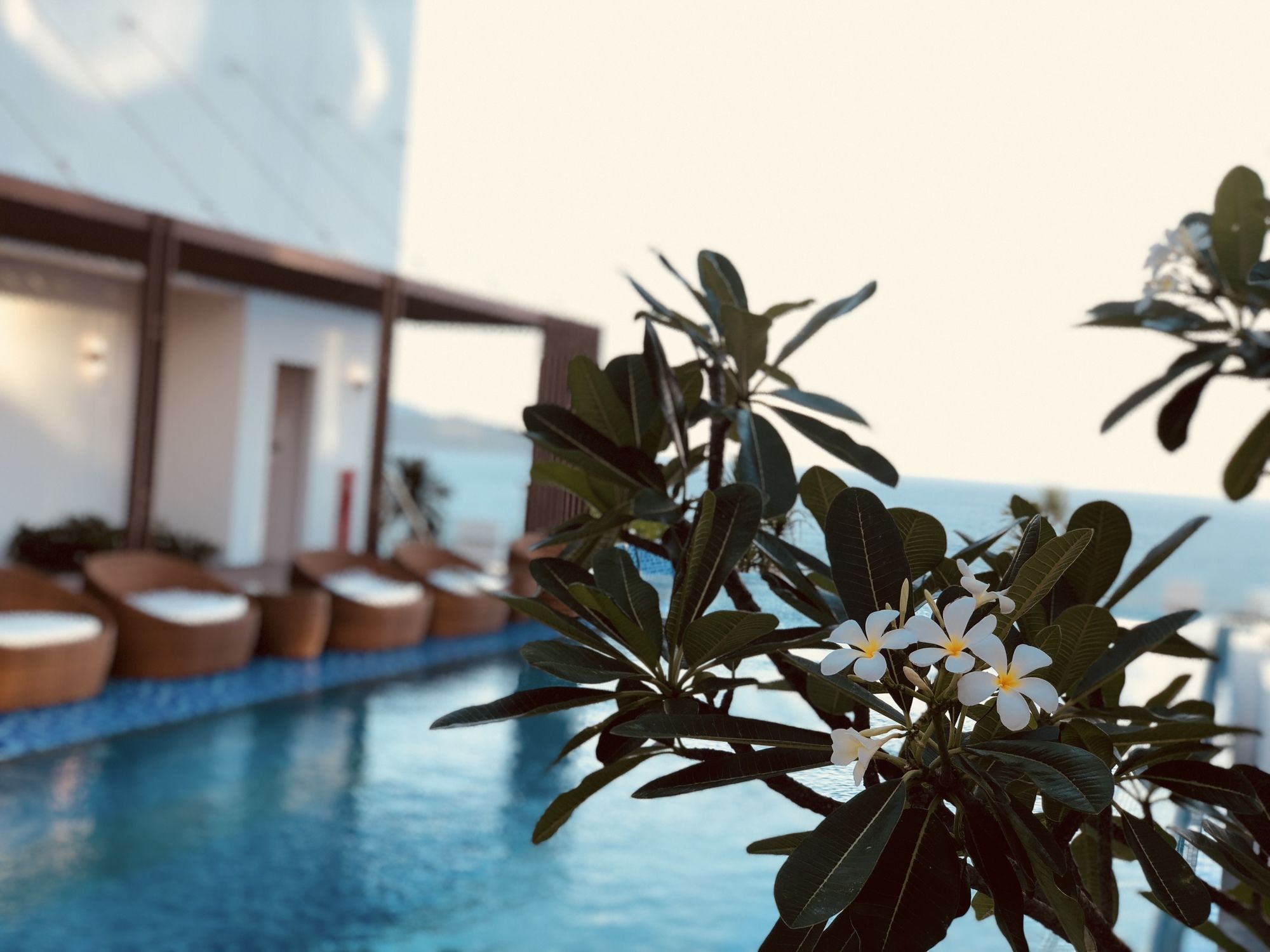 Фото Haian Beach Hotel & SPA