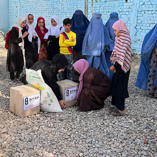 Environmental organization Samsun Ihh, Samsun, photo