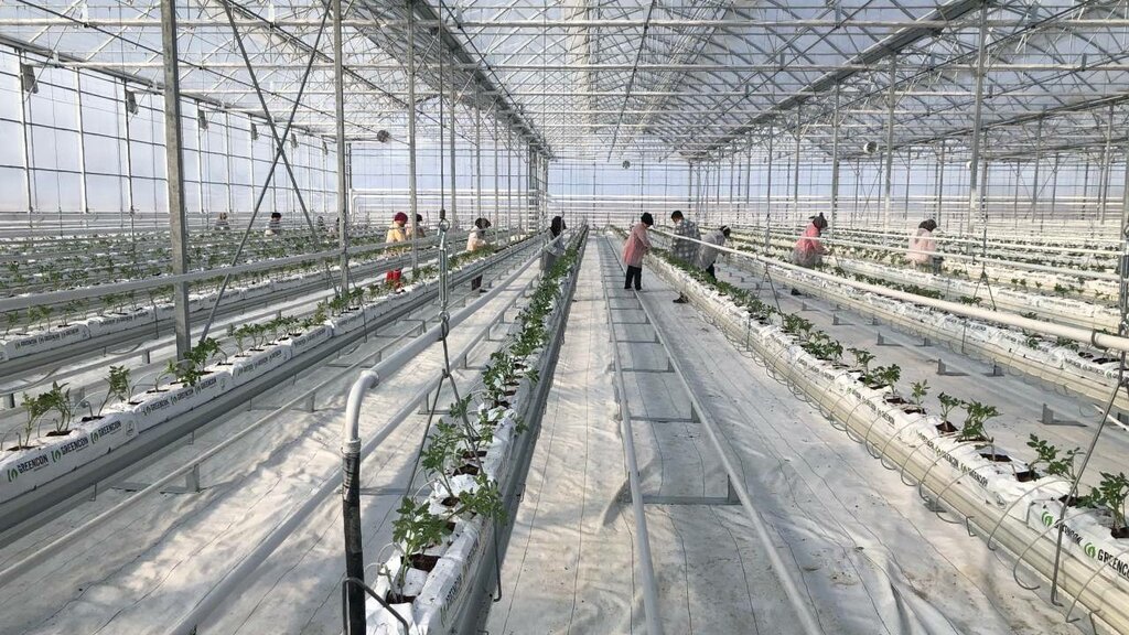 Heating equipment and systems Genfog, Istanbul, photo