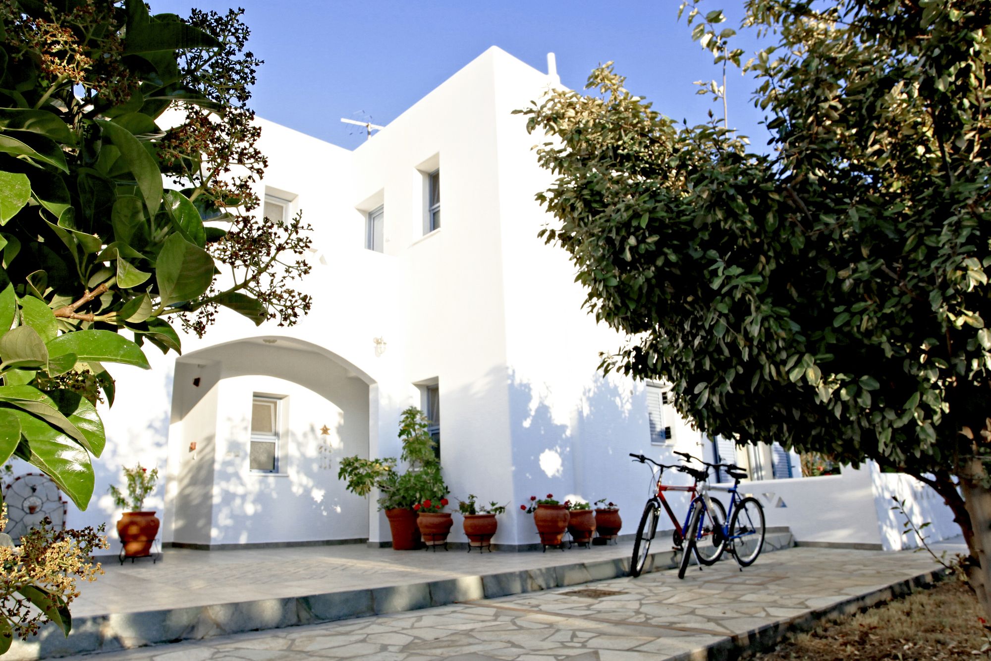 Фото Kallisti Studios