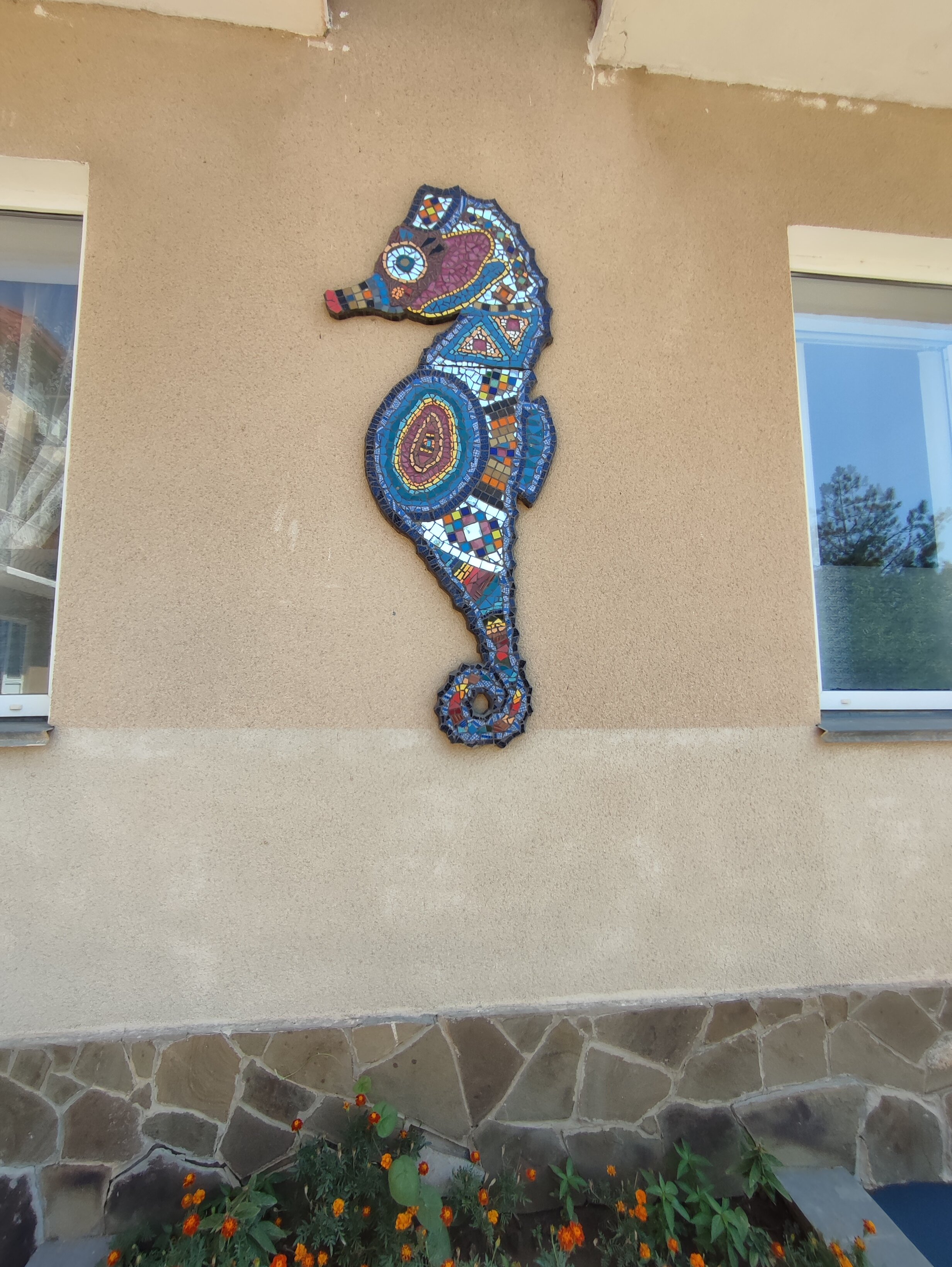 Фото Танжер