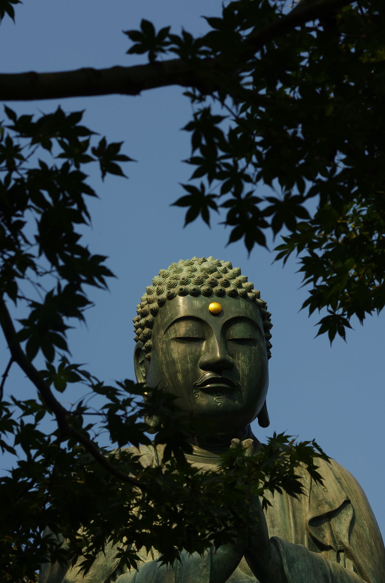 Фото Sakura Hotel Nippori