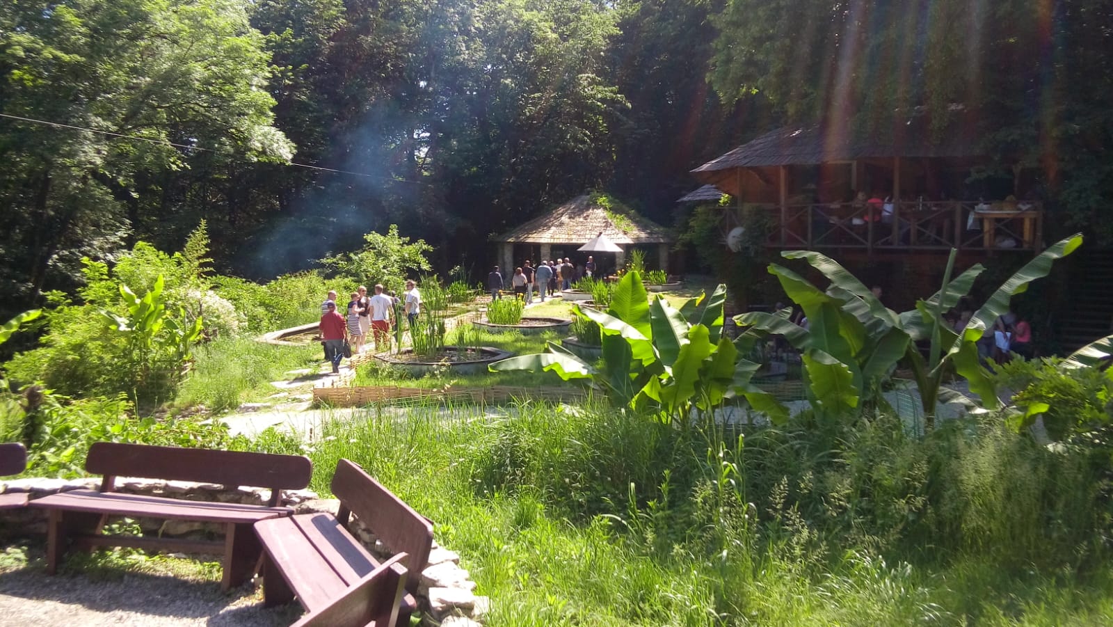 Фото Хоста Рика