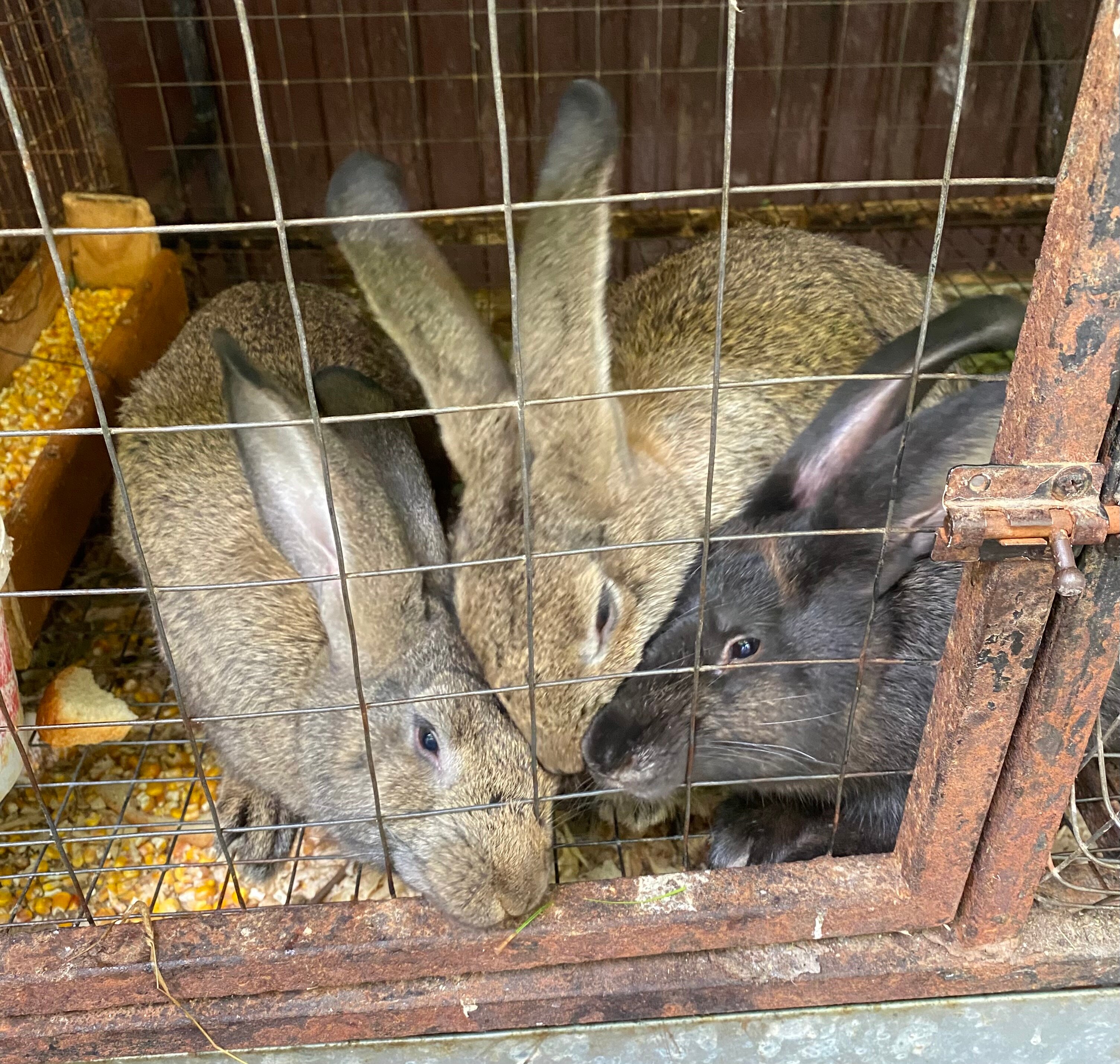 Фото Валентина