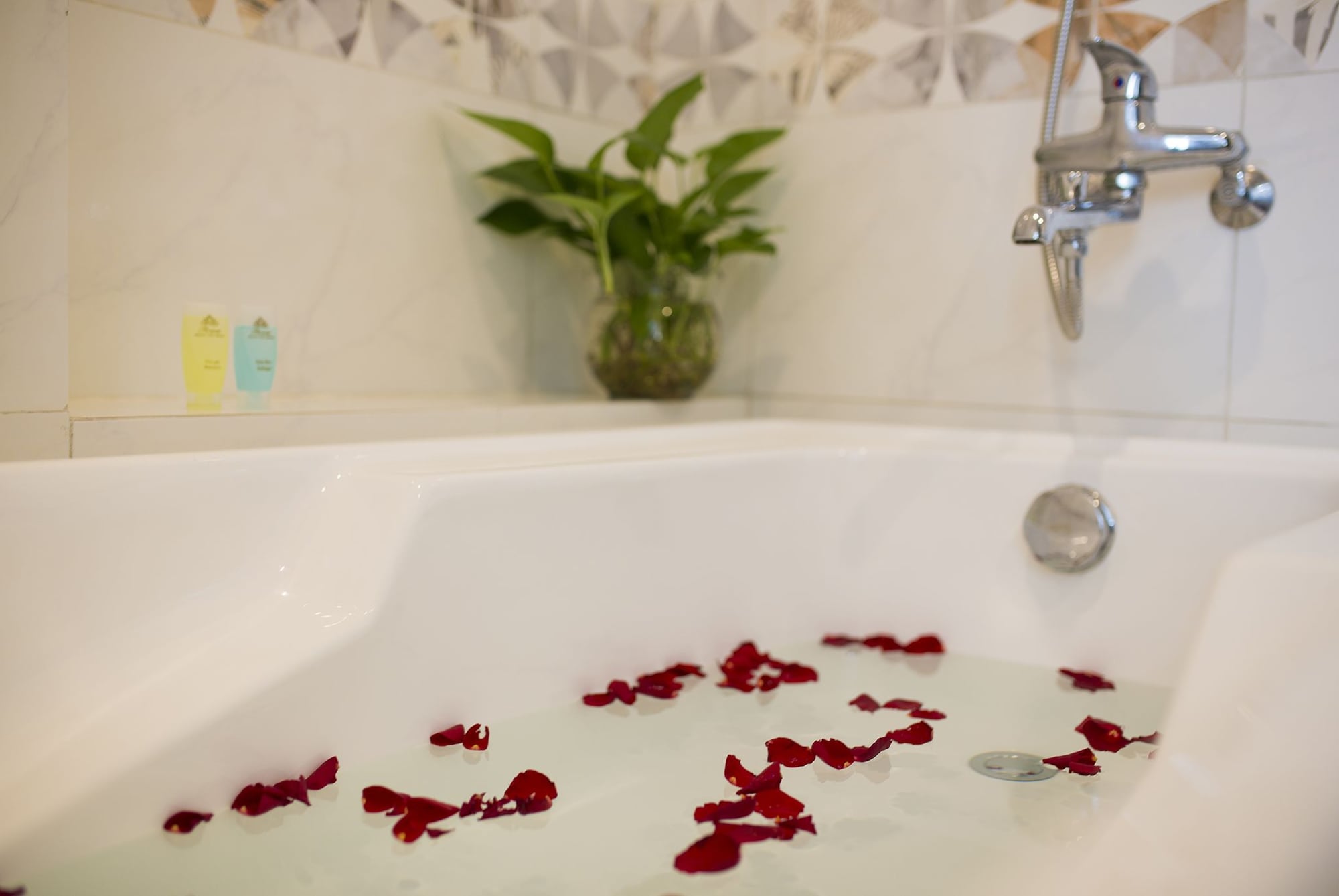 Фото Flower Hotel