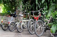 Фото 33768422796