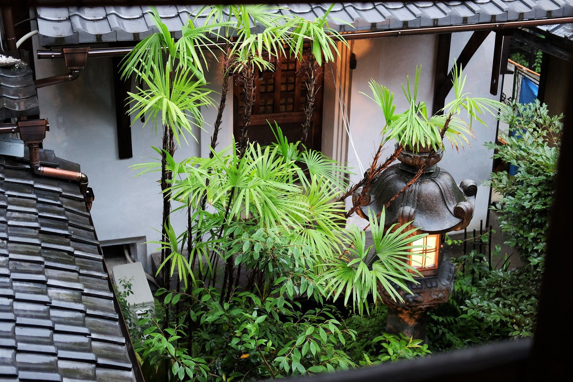 Фото Toshiharu Ryokan