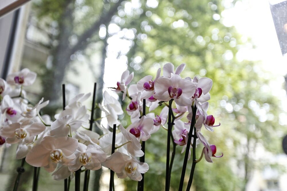 Фото Hotel Nymphenburg