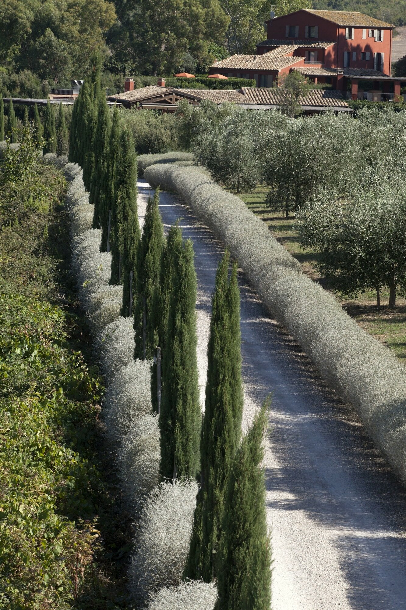 Фото Resort Locanda Rossa