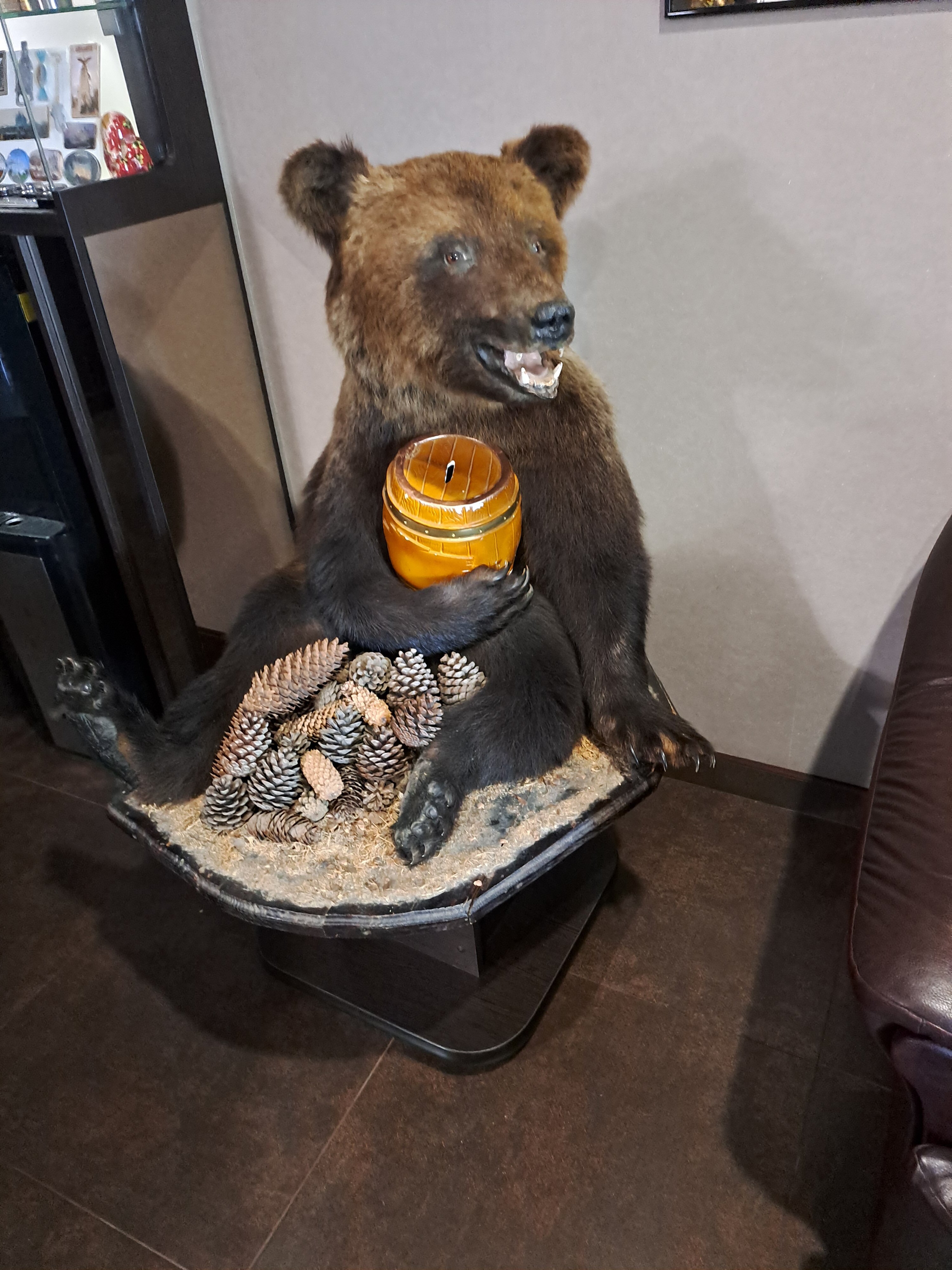 Фото Медведь