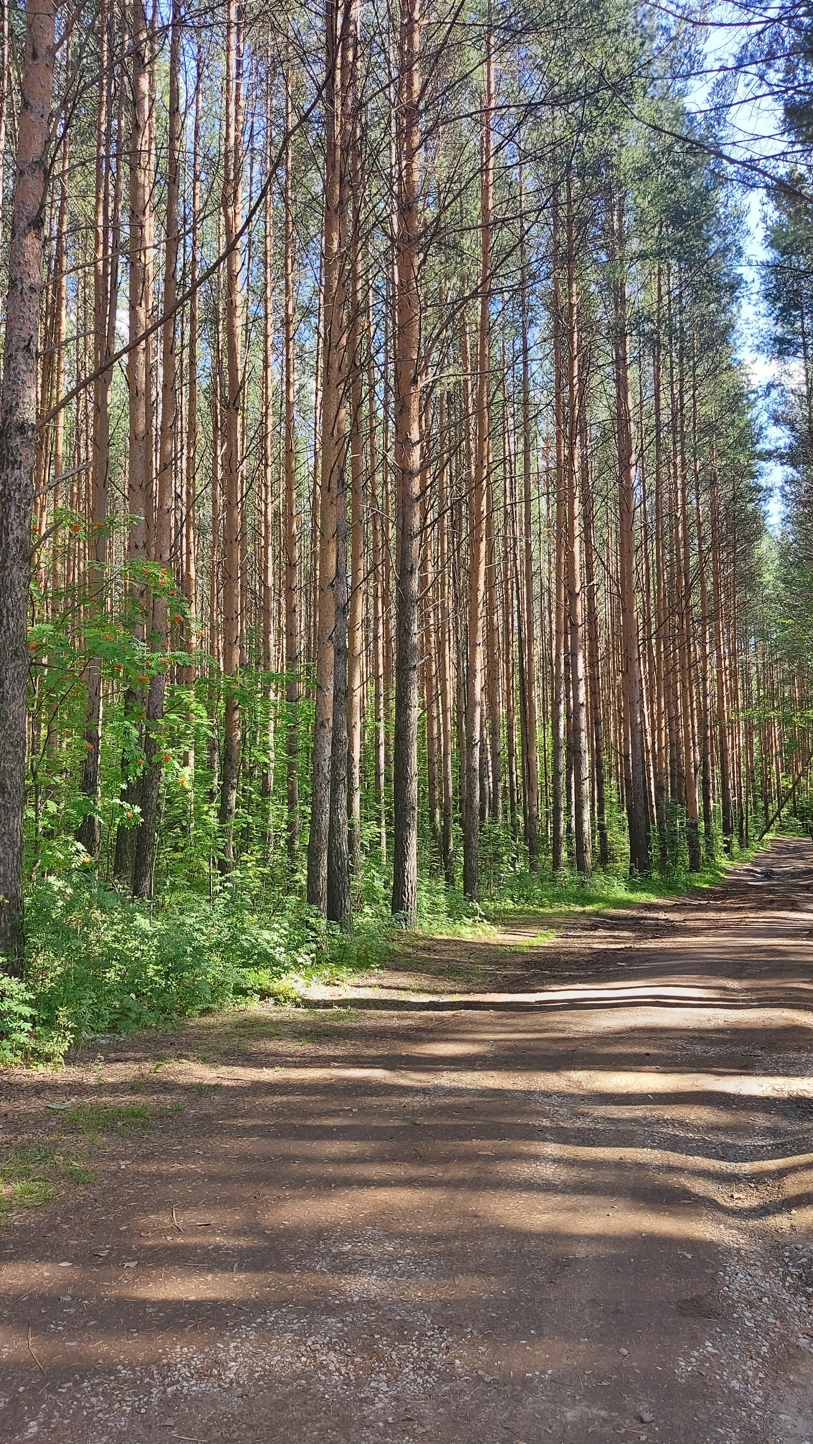 Фото Зелёный мыс