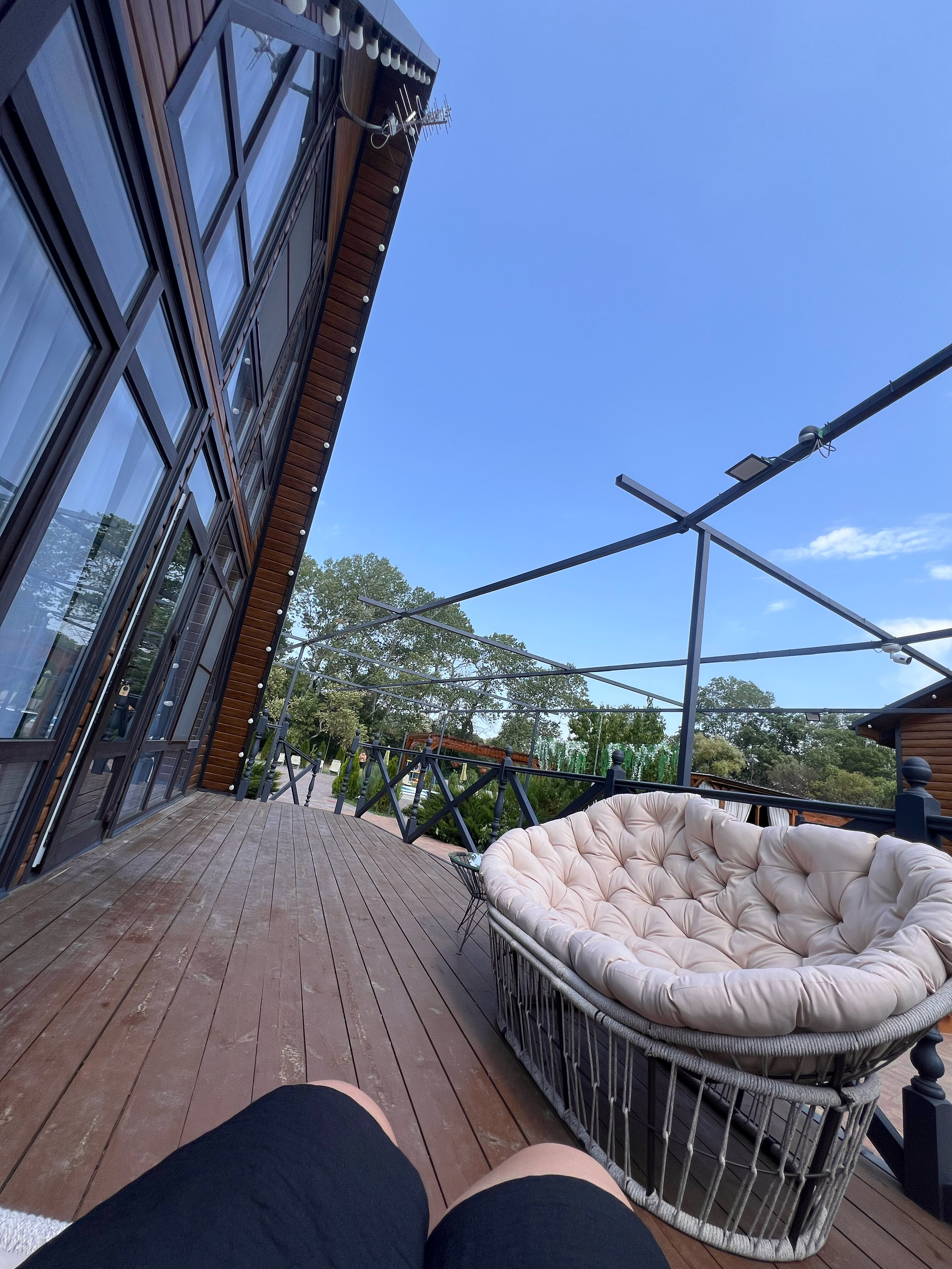 Фото Кипарис