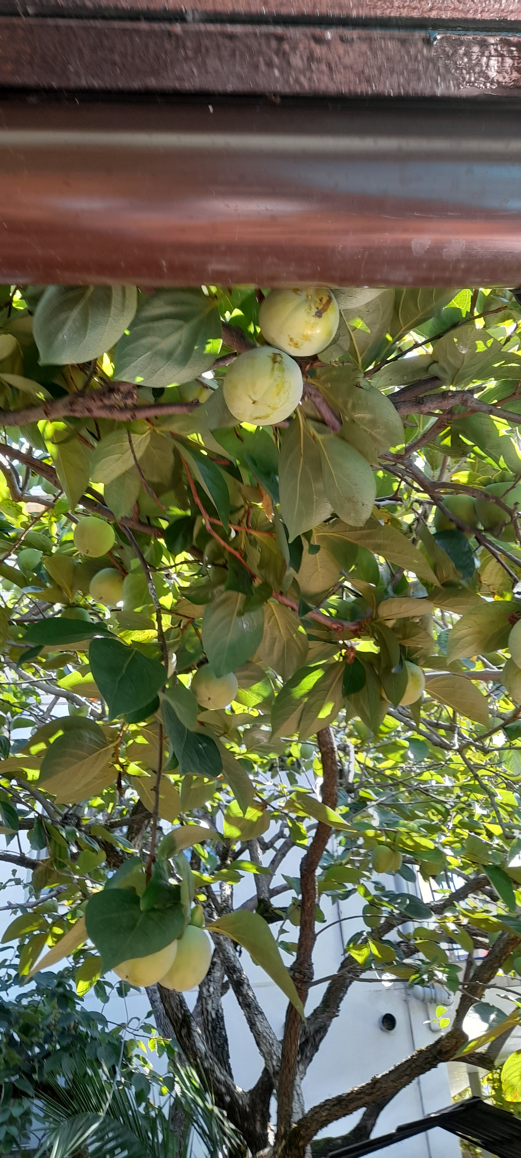 Фото Море и Горы