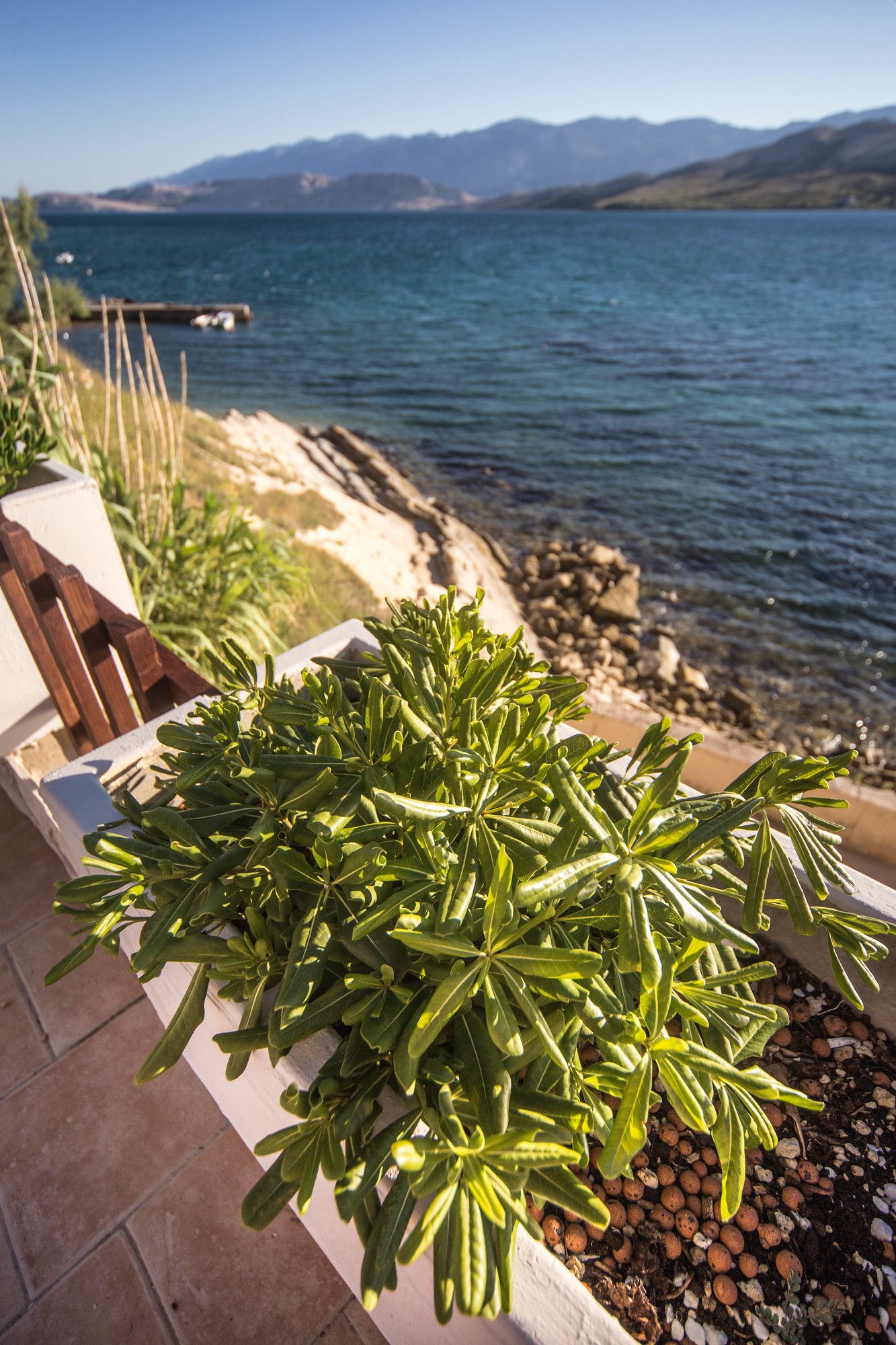 Фото Отель Plaža