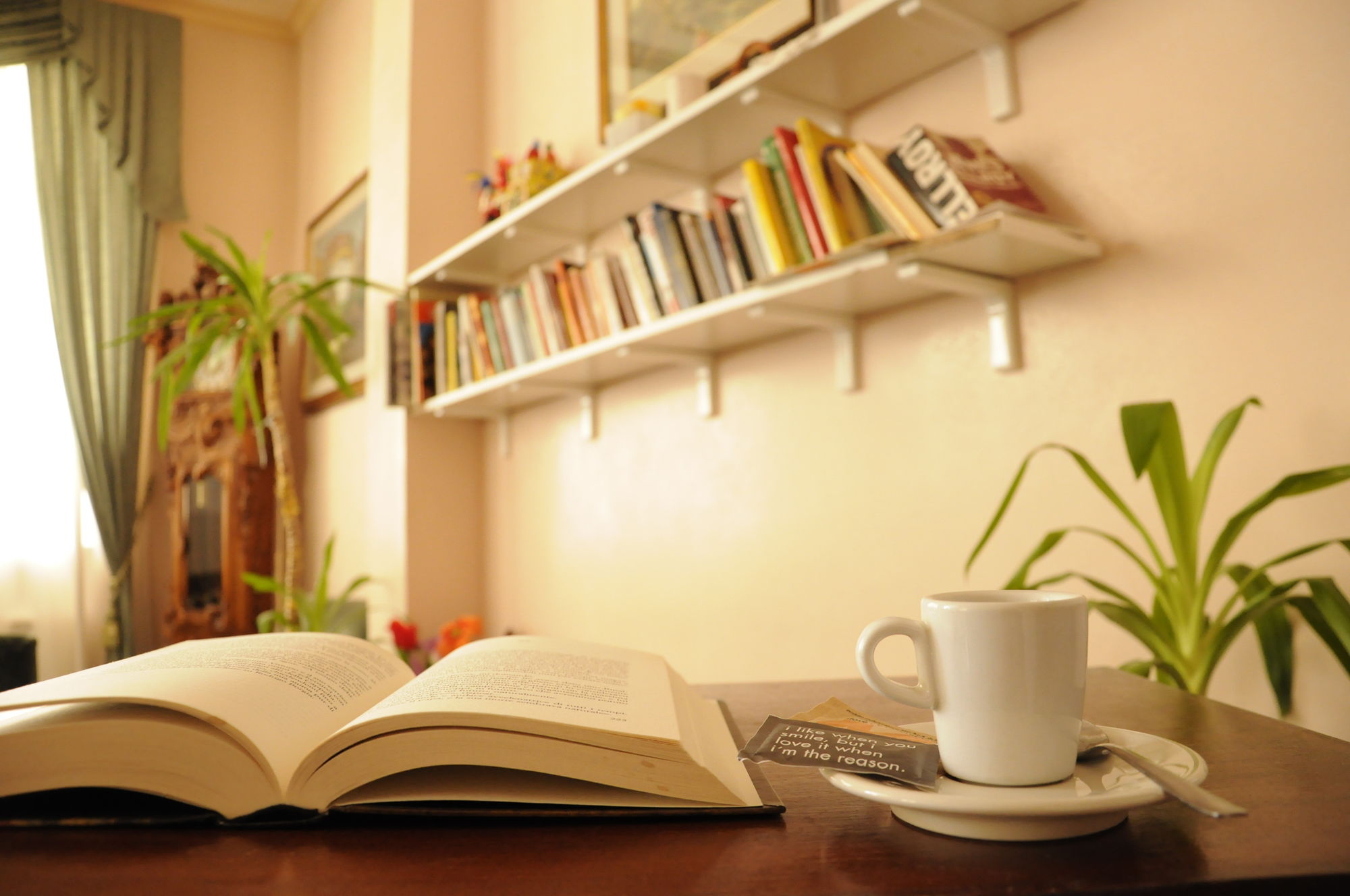 Фото Hotel Siviglia