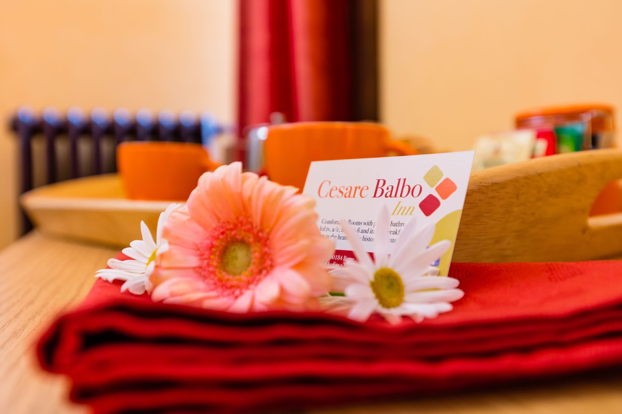 Фото Cesare Balbo Inn