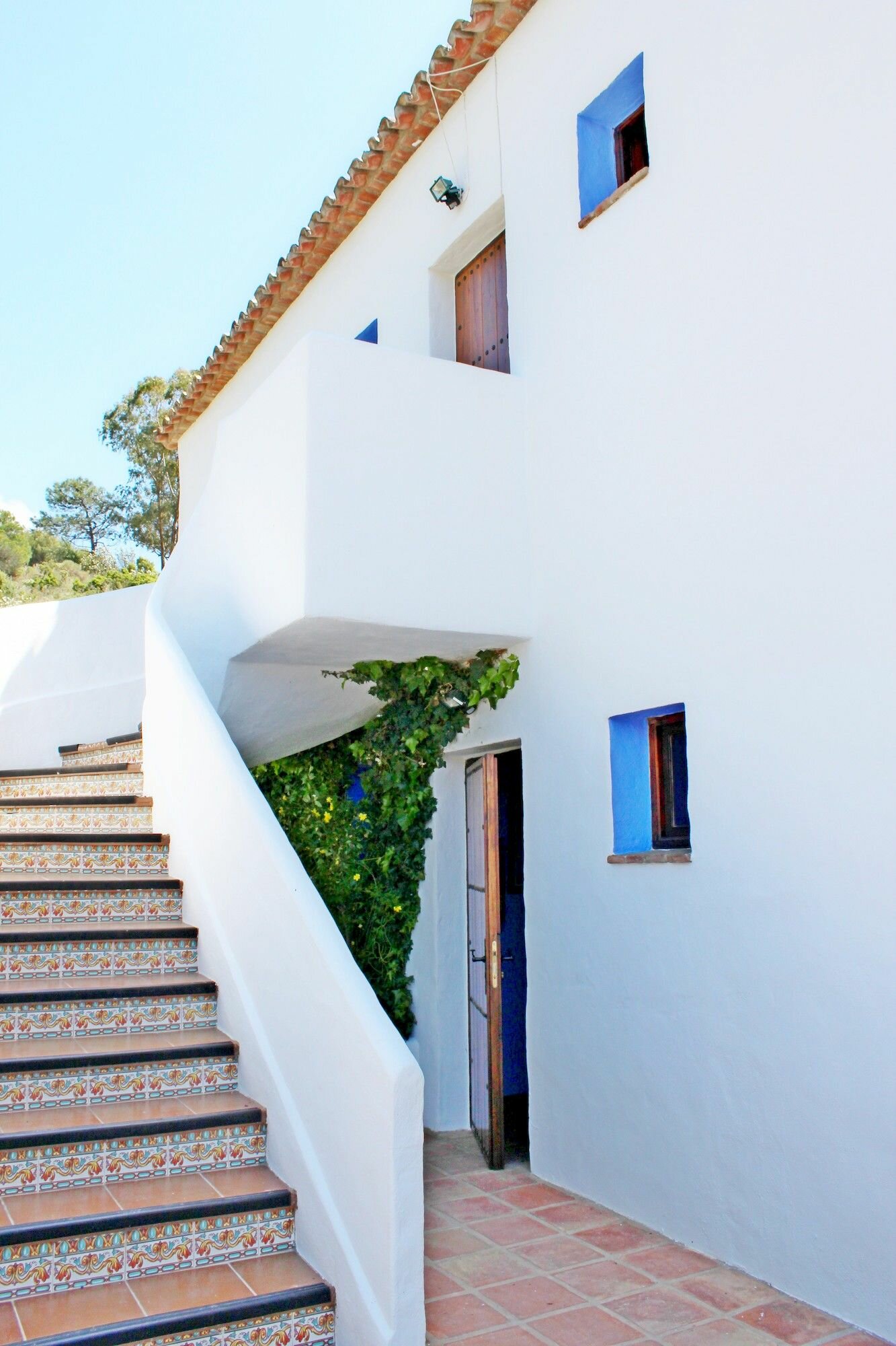 Фото Hotel Los Jarales