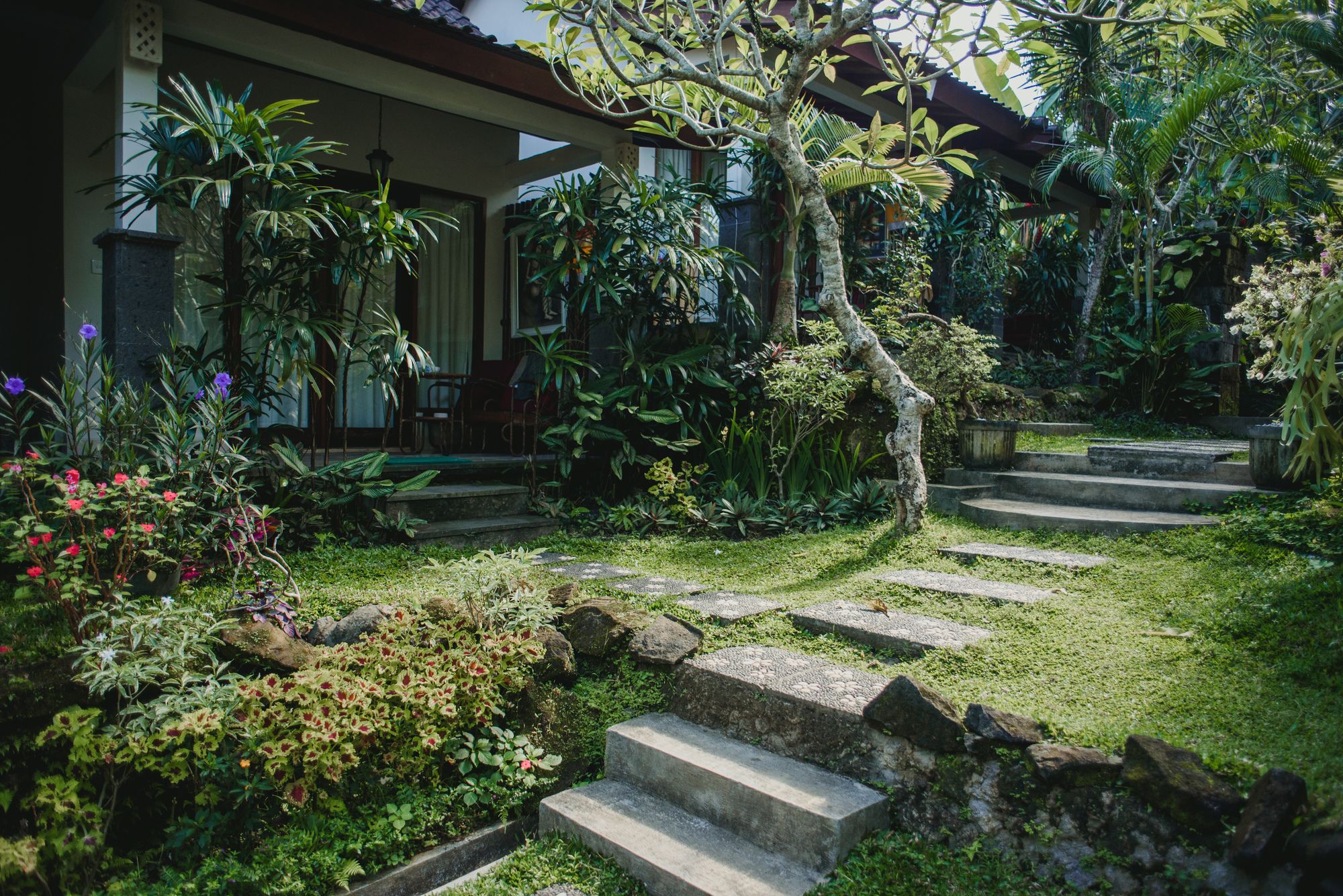 Фото Desak Putu Putra Hidden