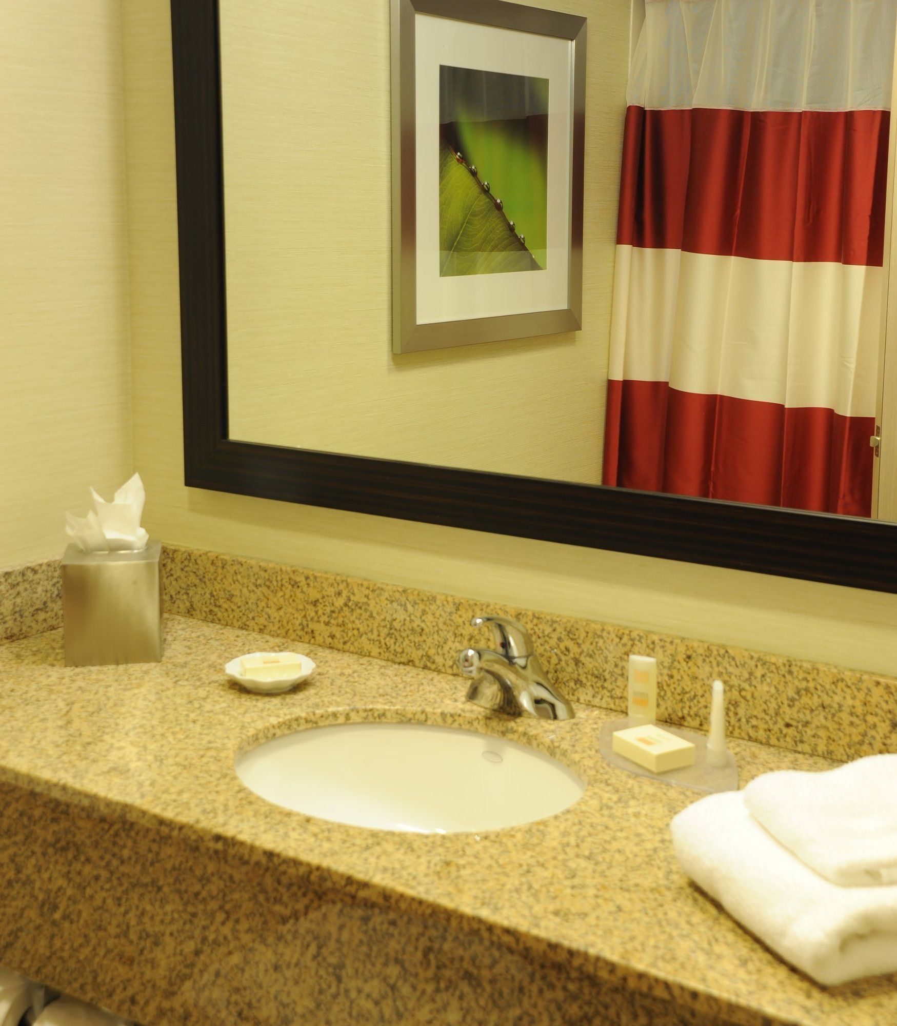 Фото Fairfield Inn & Suites by Marriott Albany Airport