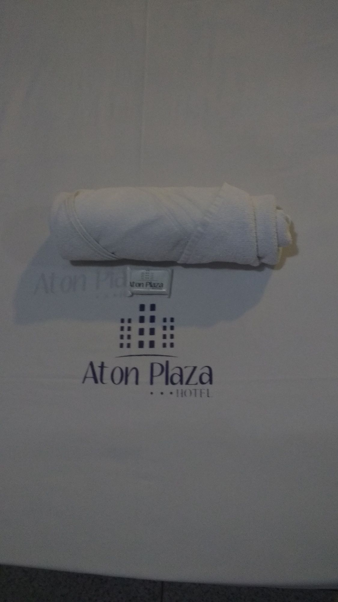 Фото Aton Plaza Hotel